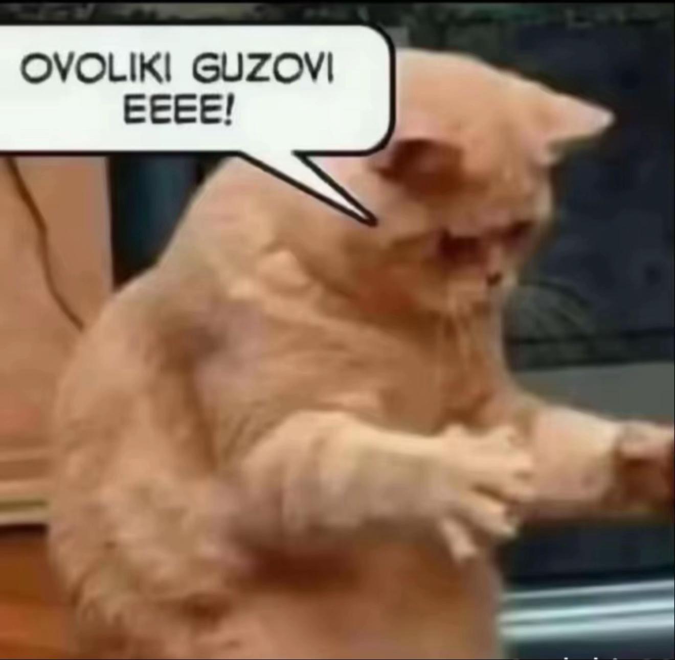 @d_jovcevski