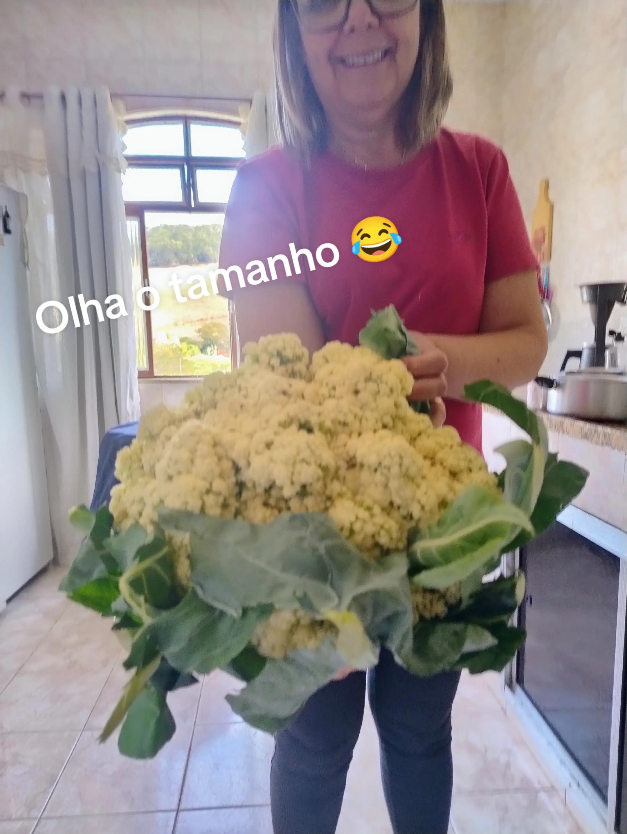 @fatimanascimentoo1