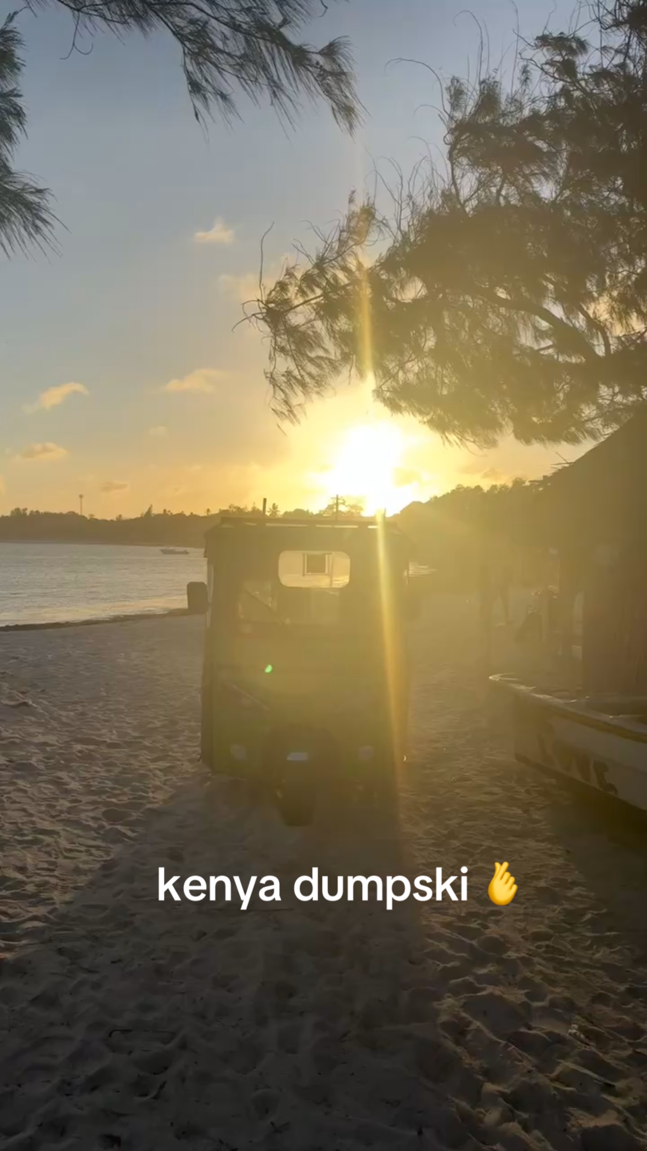 @jadini 🪻