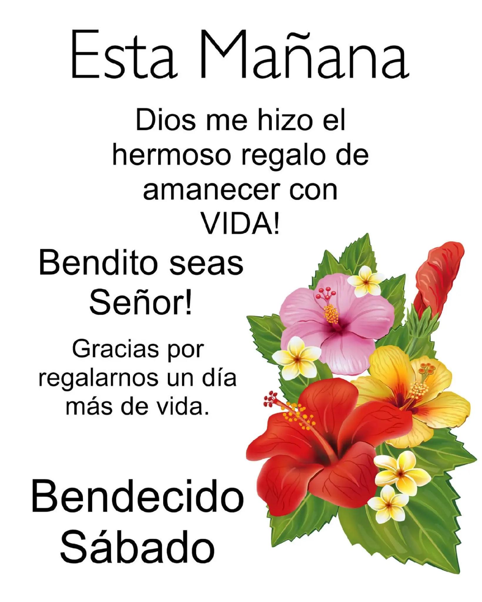 @Patricia Garcia