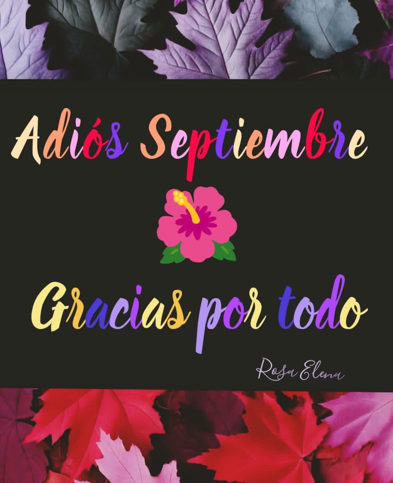 @Vicente Hernandez
