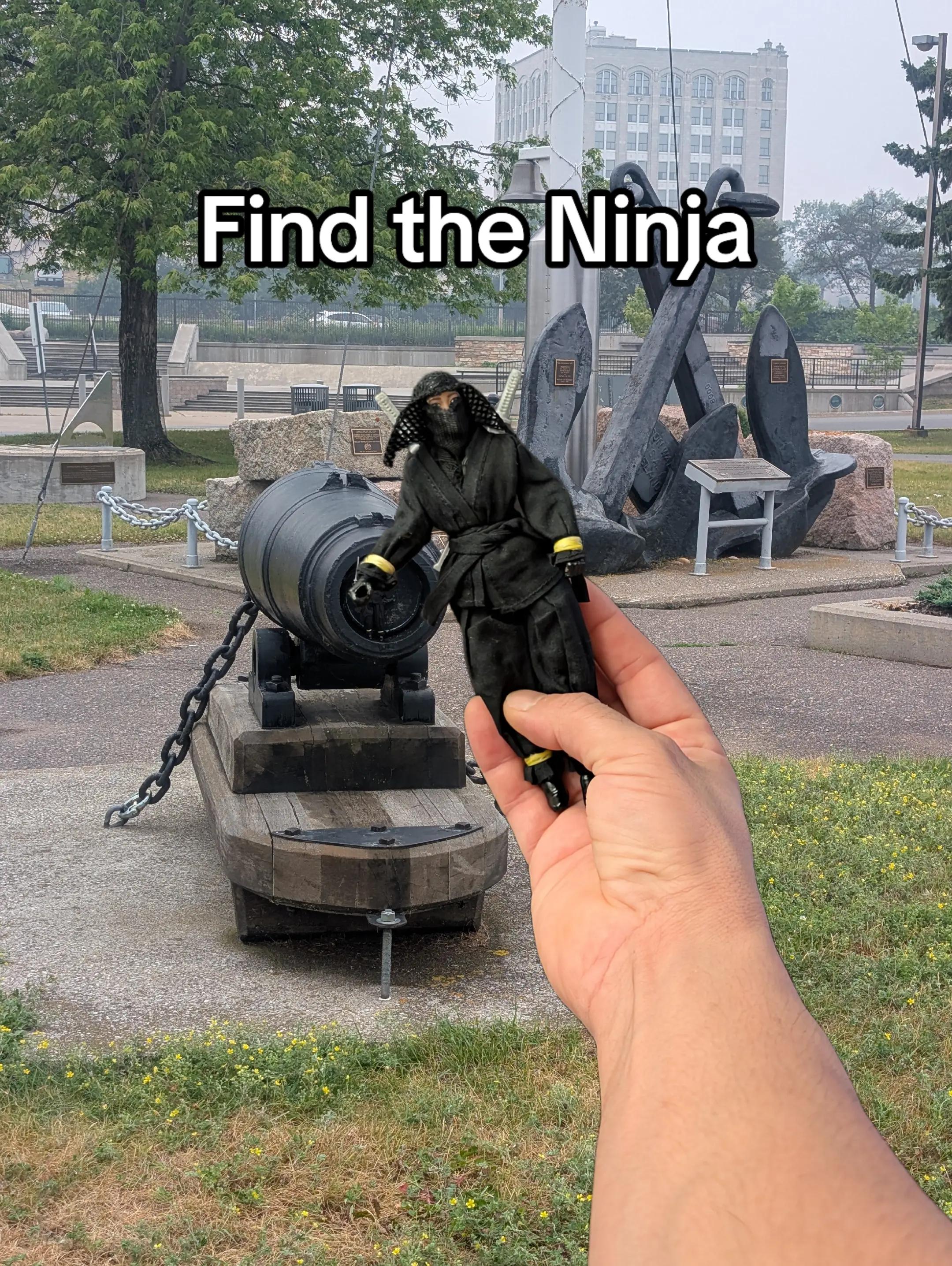 @SpotTheSneakyNinja