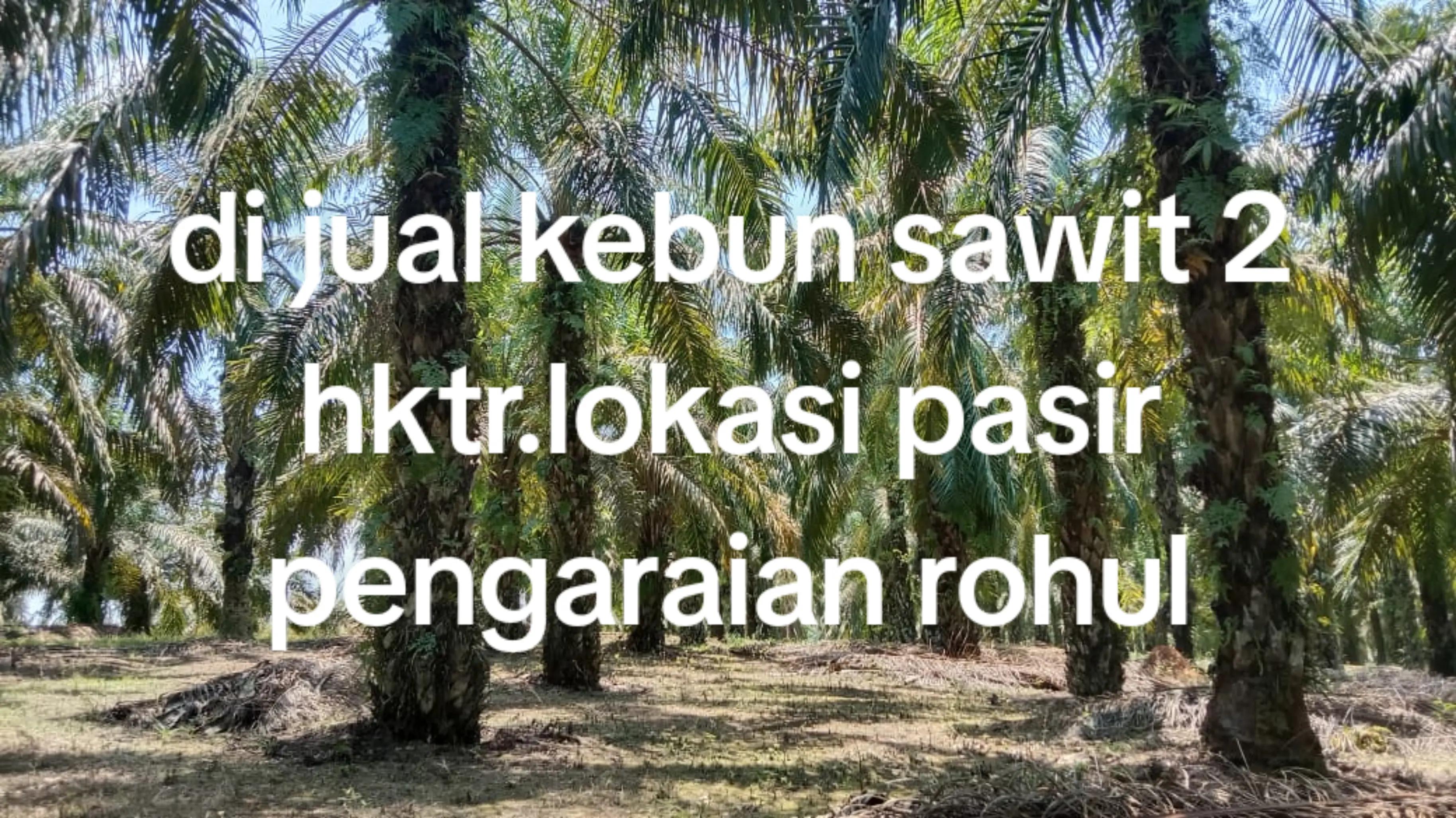 @duo property pku