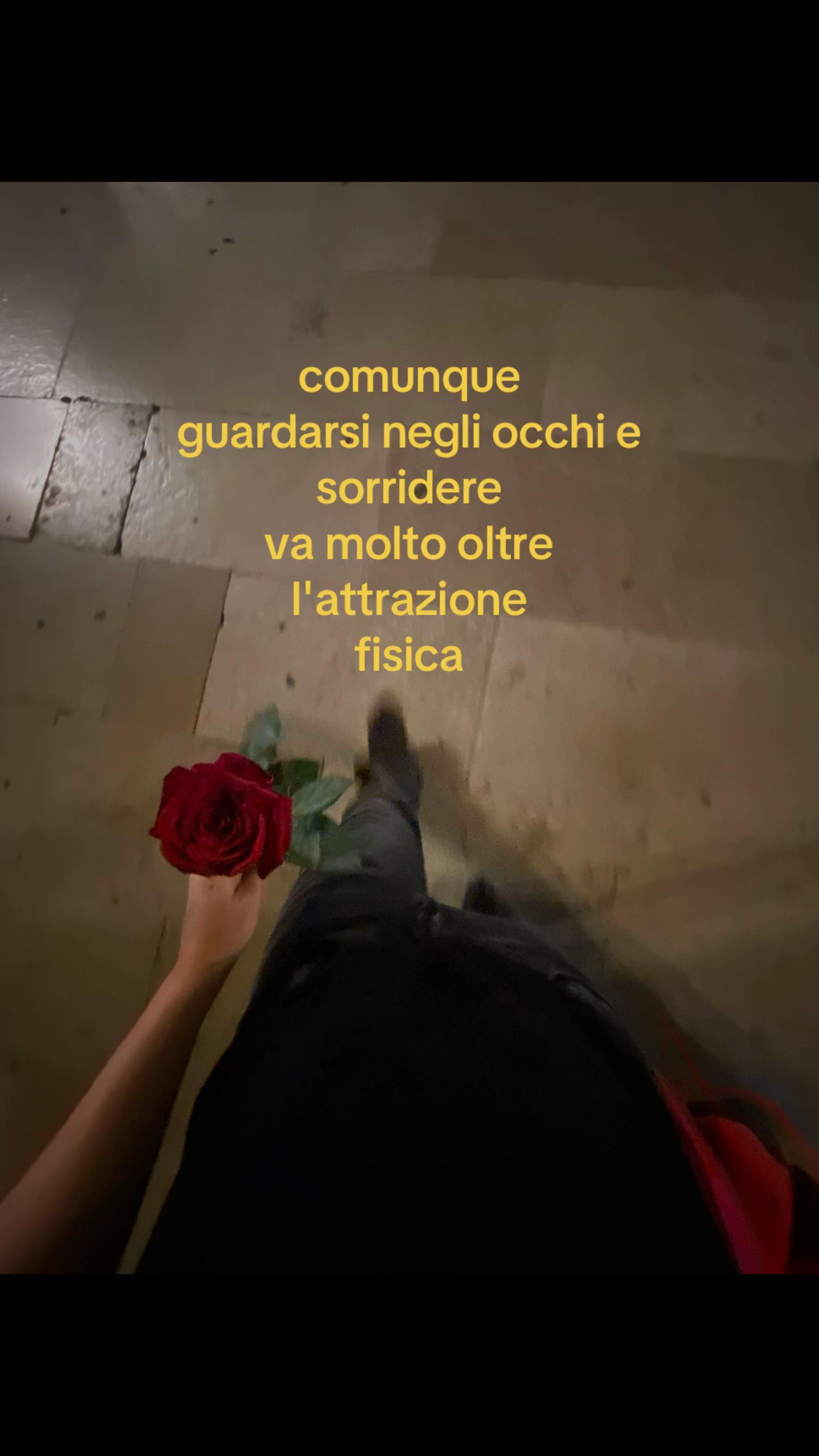 @luciadimeo