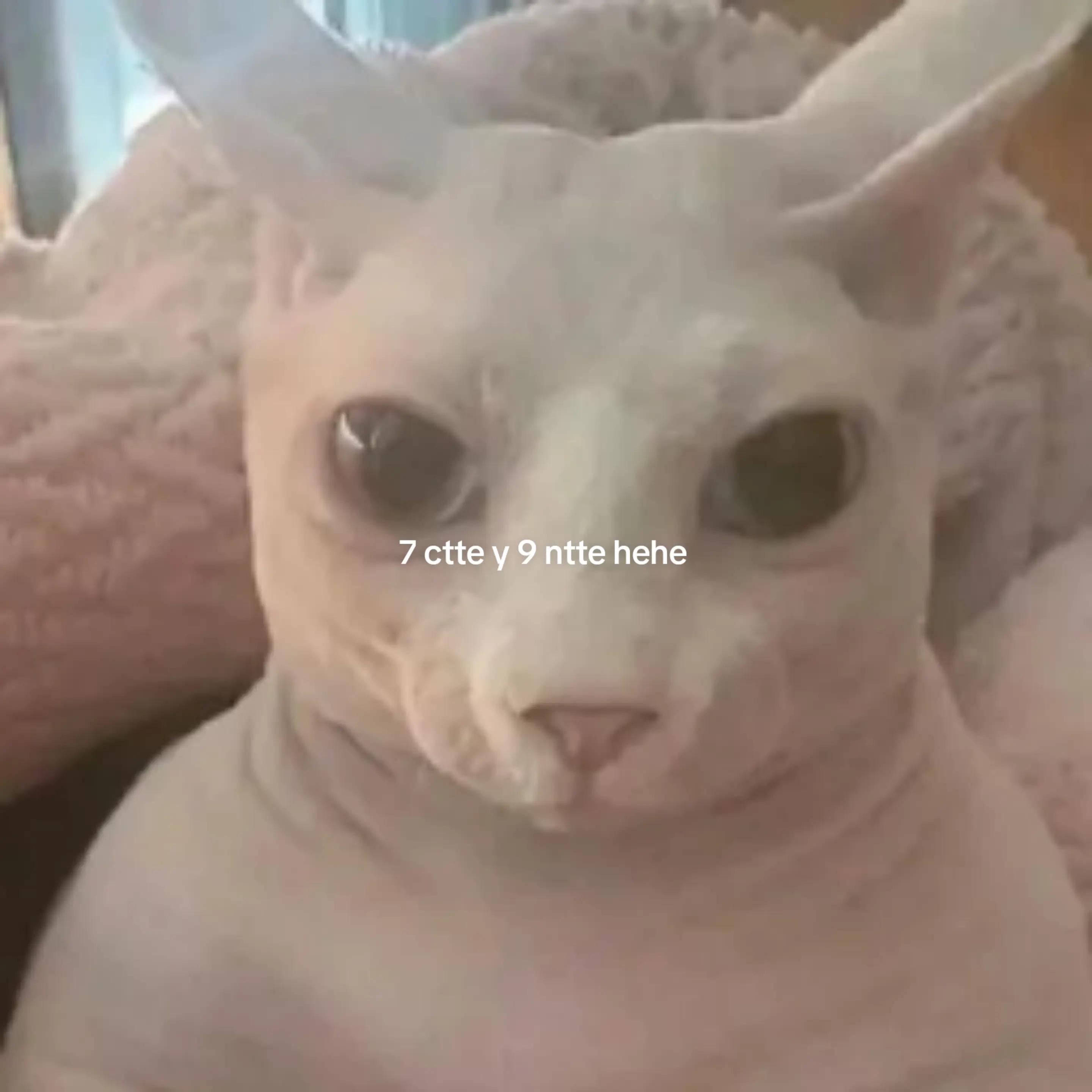 @๐๐๐๐ก๐๐๐๐๐ฆ ๐ต๐๐๐๐?