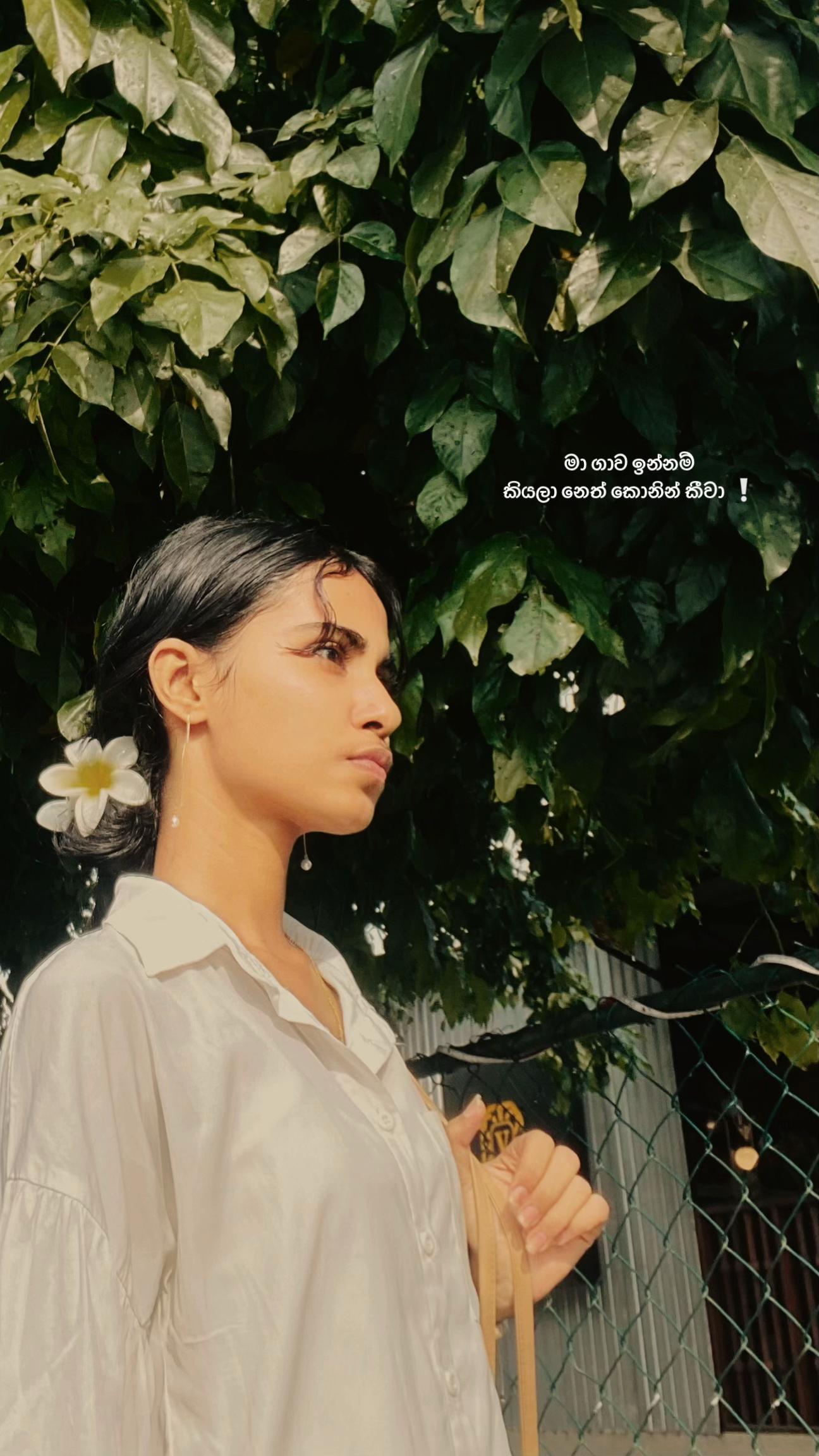 @Hitheshi Zoysa | Archives !
