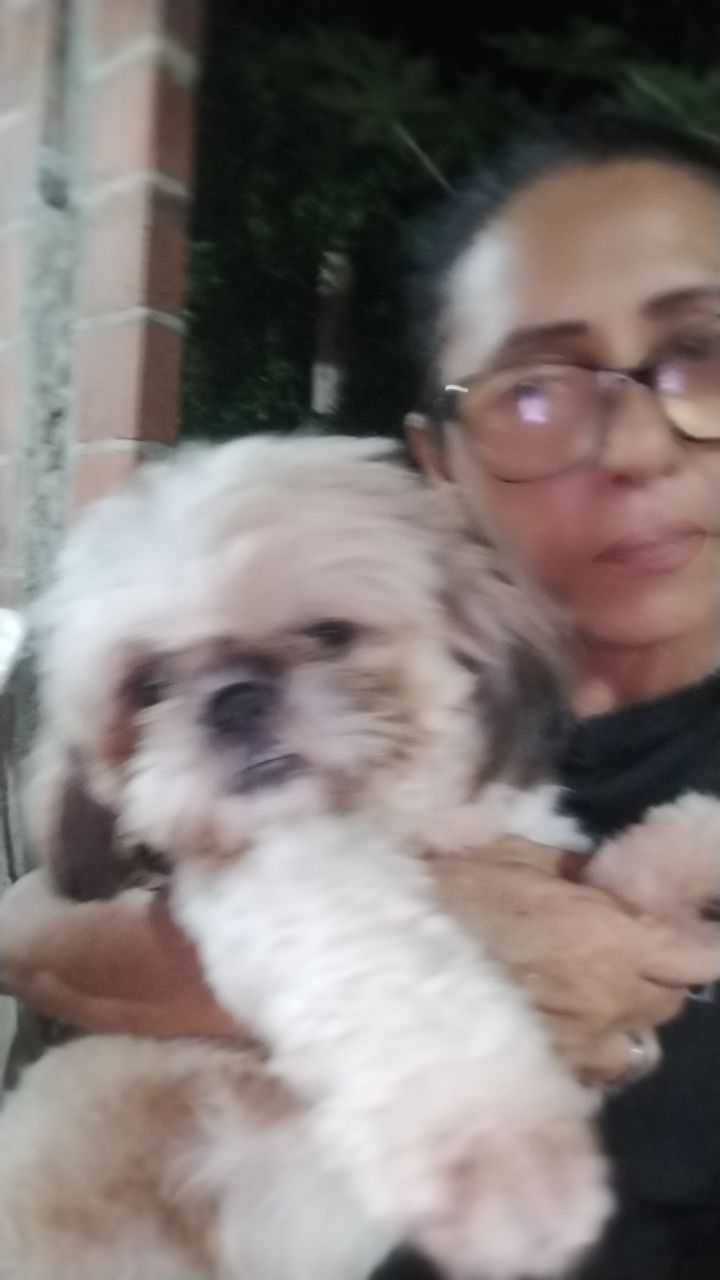 @Vilane Teixeira