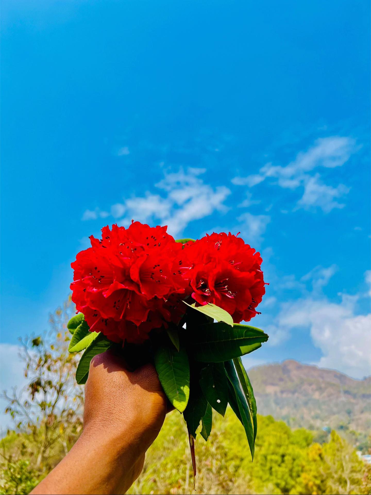 @सिपाहि🫡👮♂️