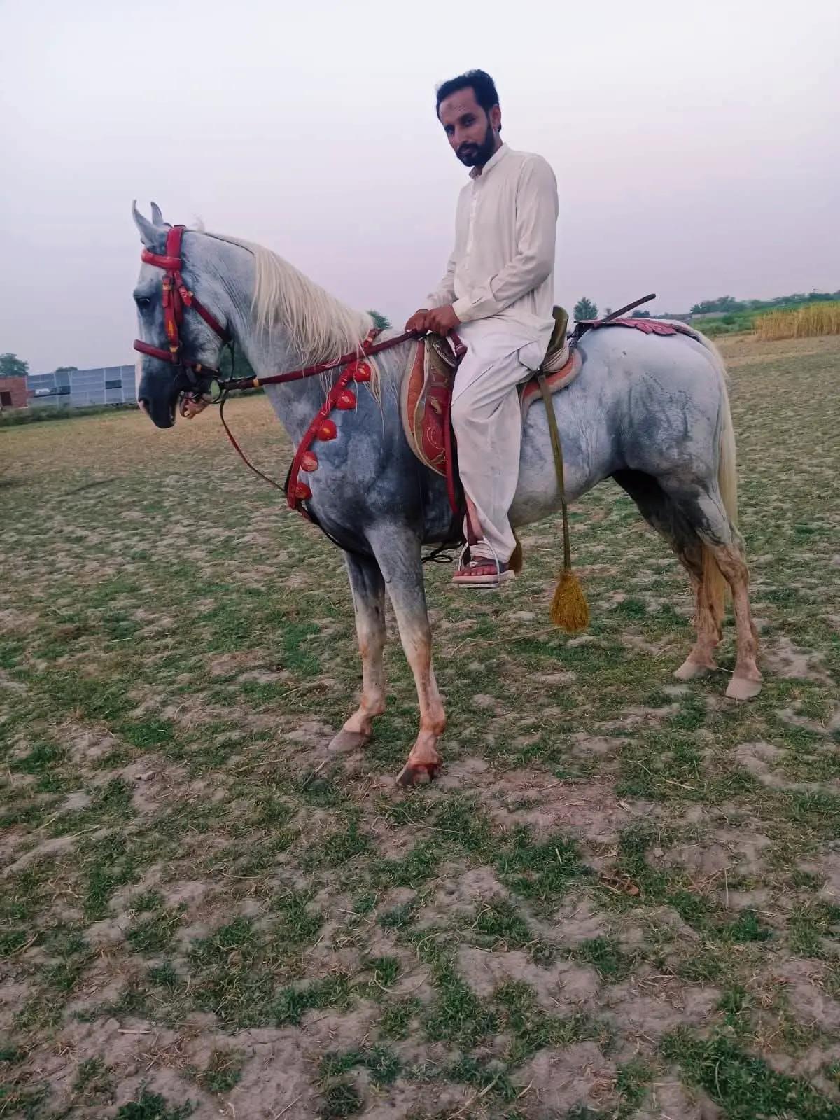 @kamran Javed💫-1