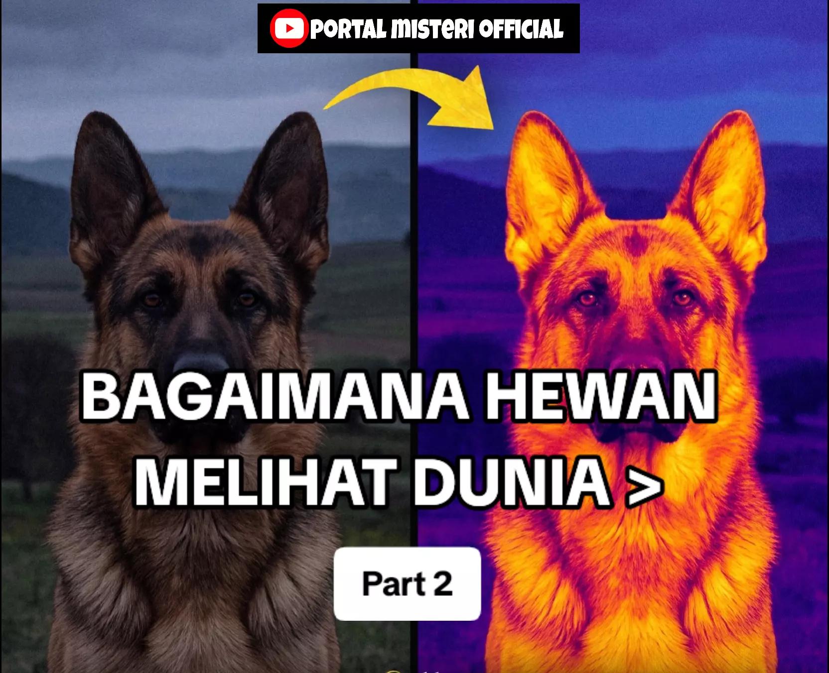 @kelasmisteri