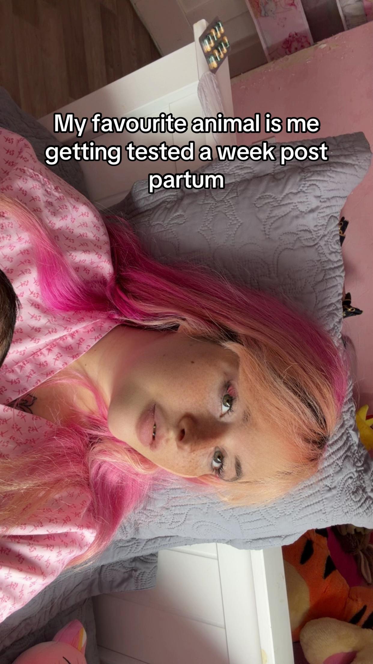 @snufflebot123