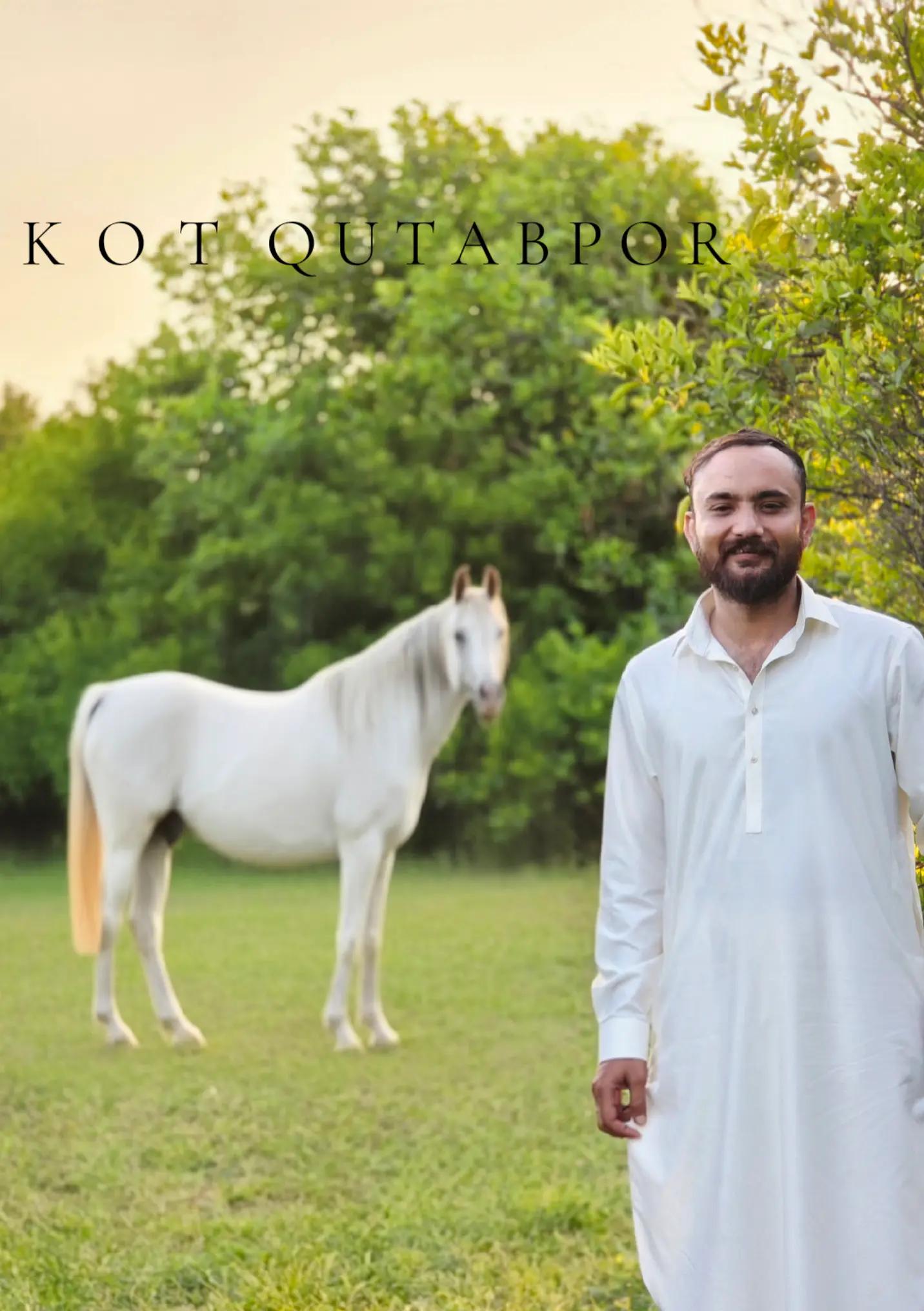 @Aftab Alvi