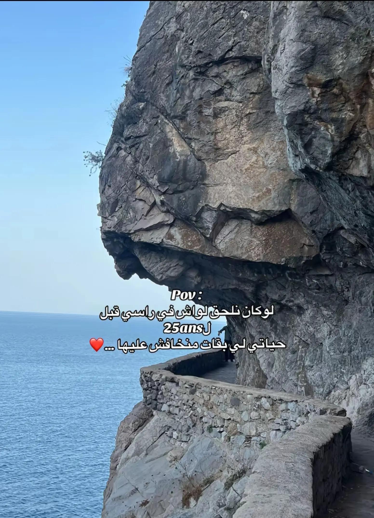 @donia mansouri