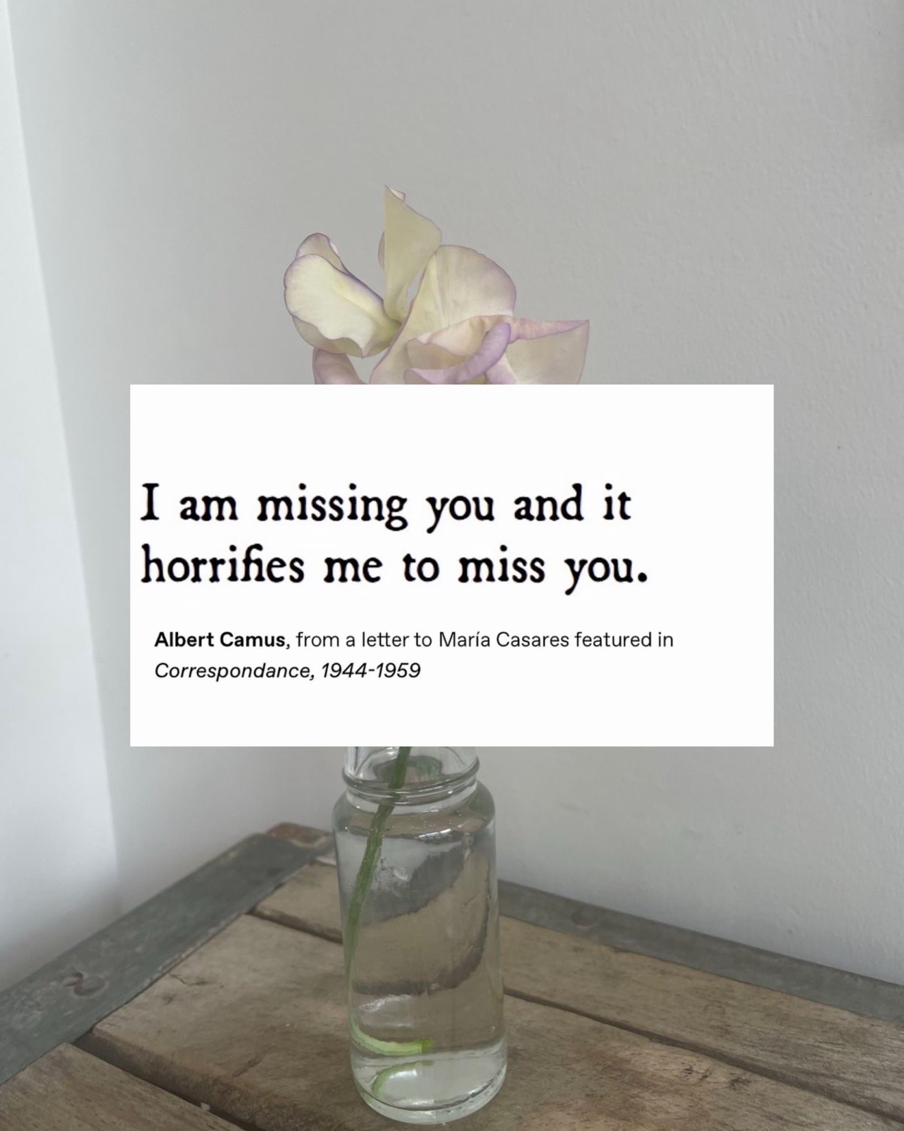 @💌 emma 💌