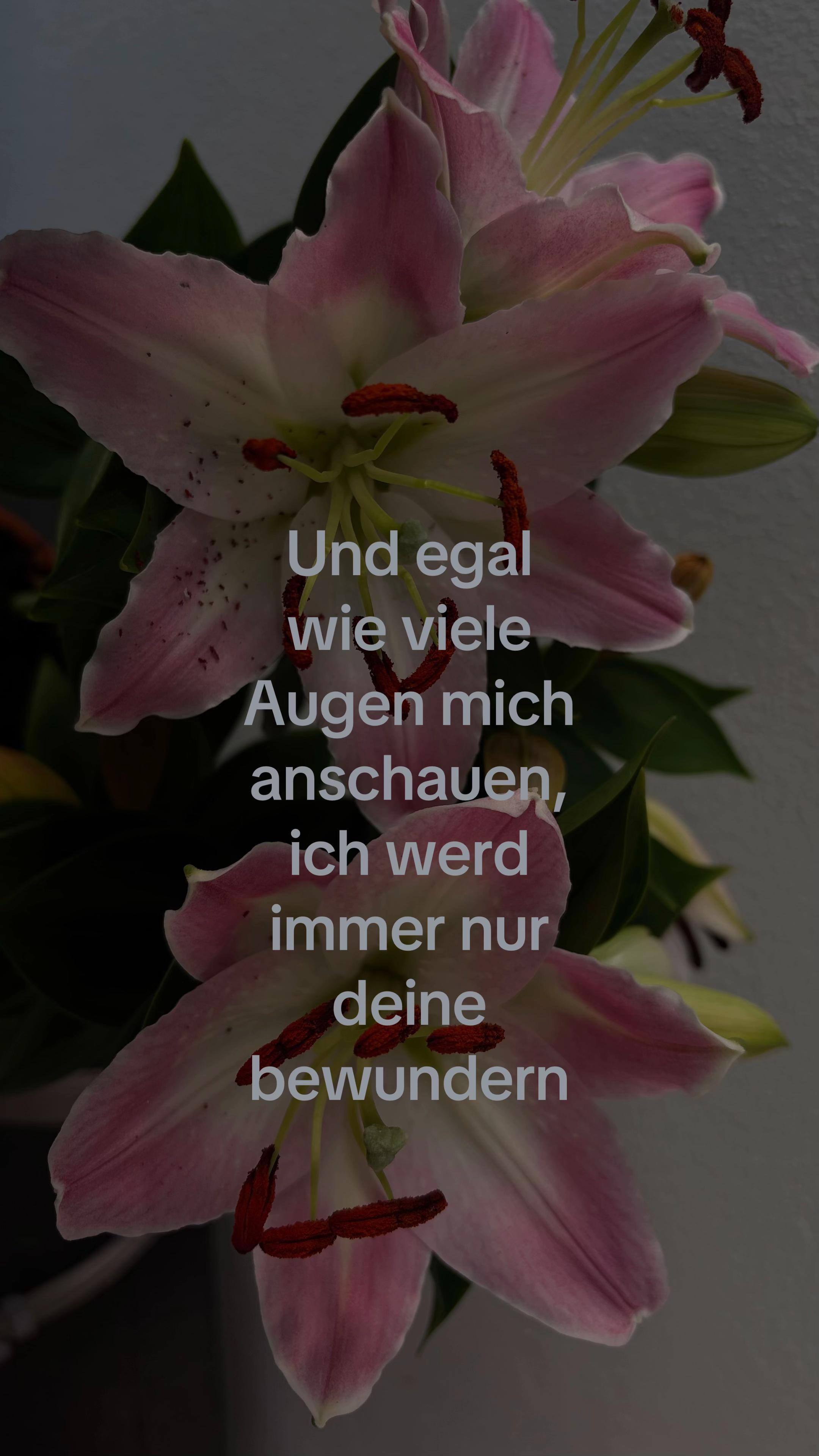 @user.13121102712