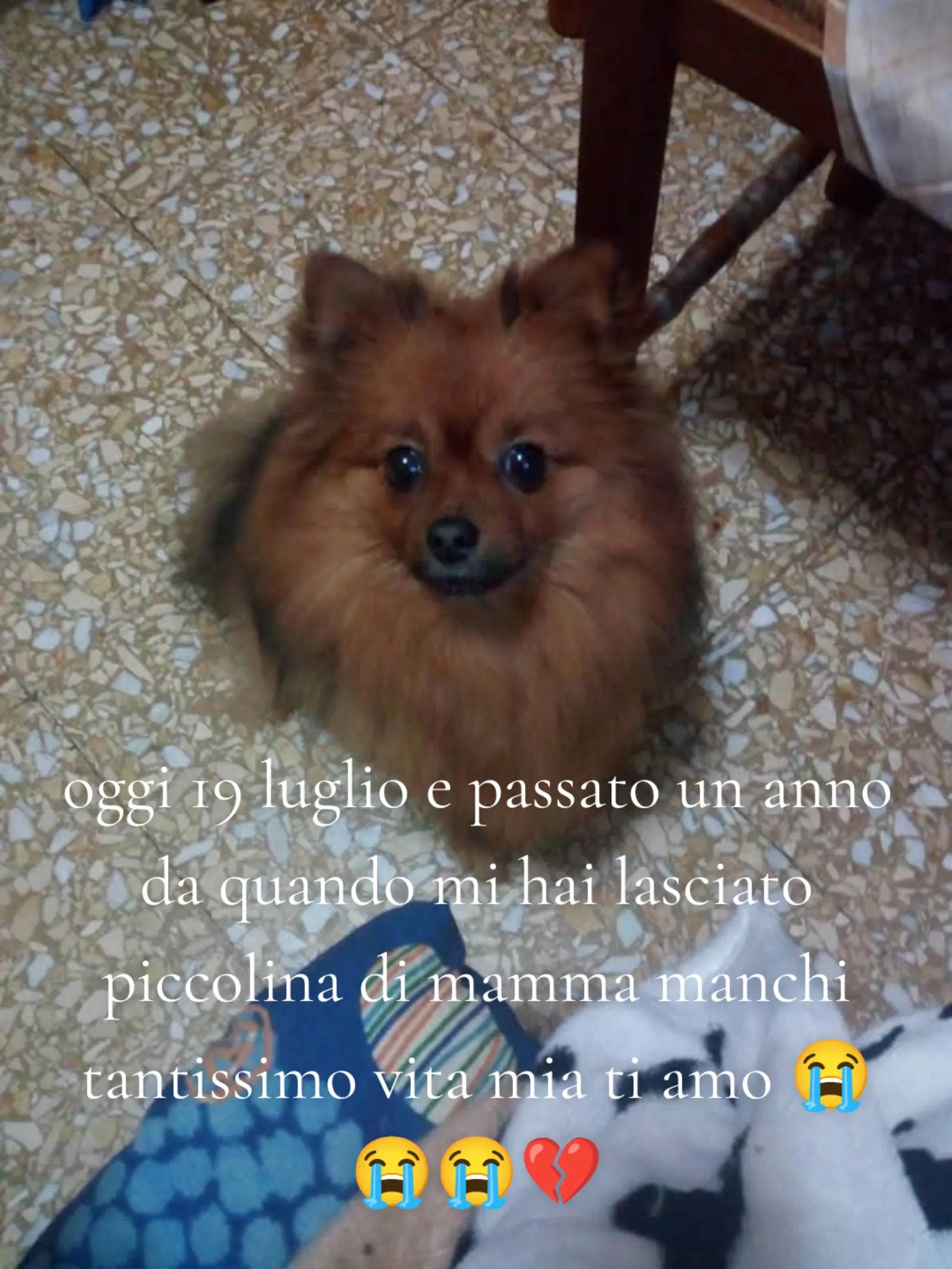 @Carmela Aiello