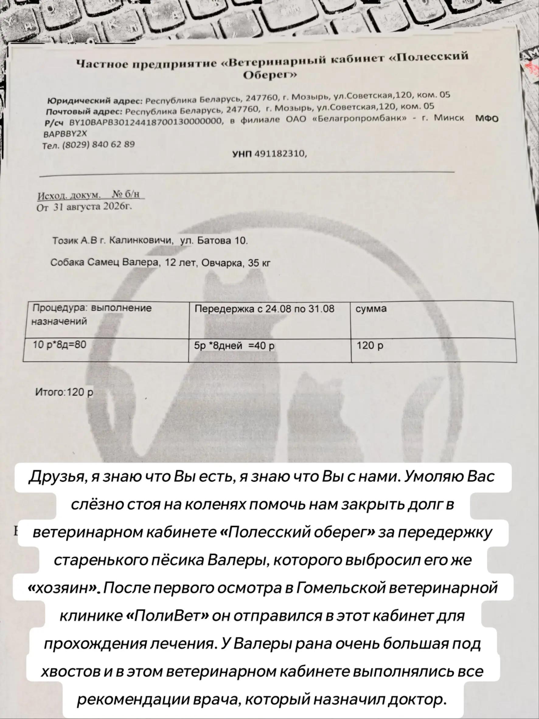 @Передержка «Лёнин рай» 🐶🦮