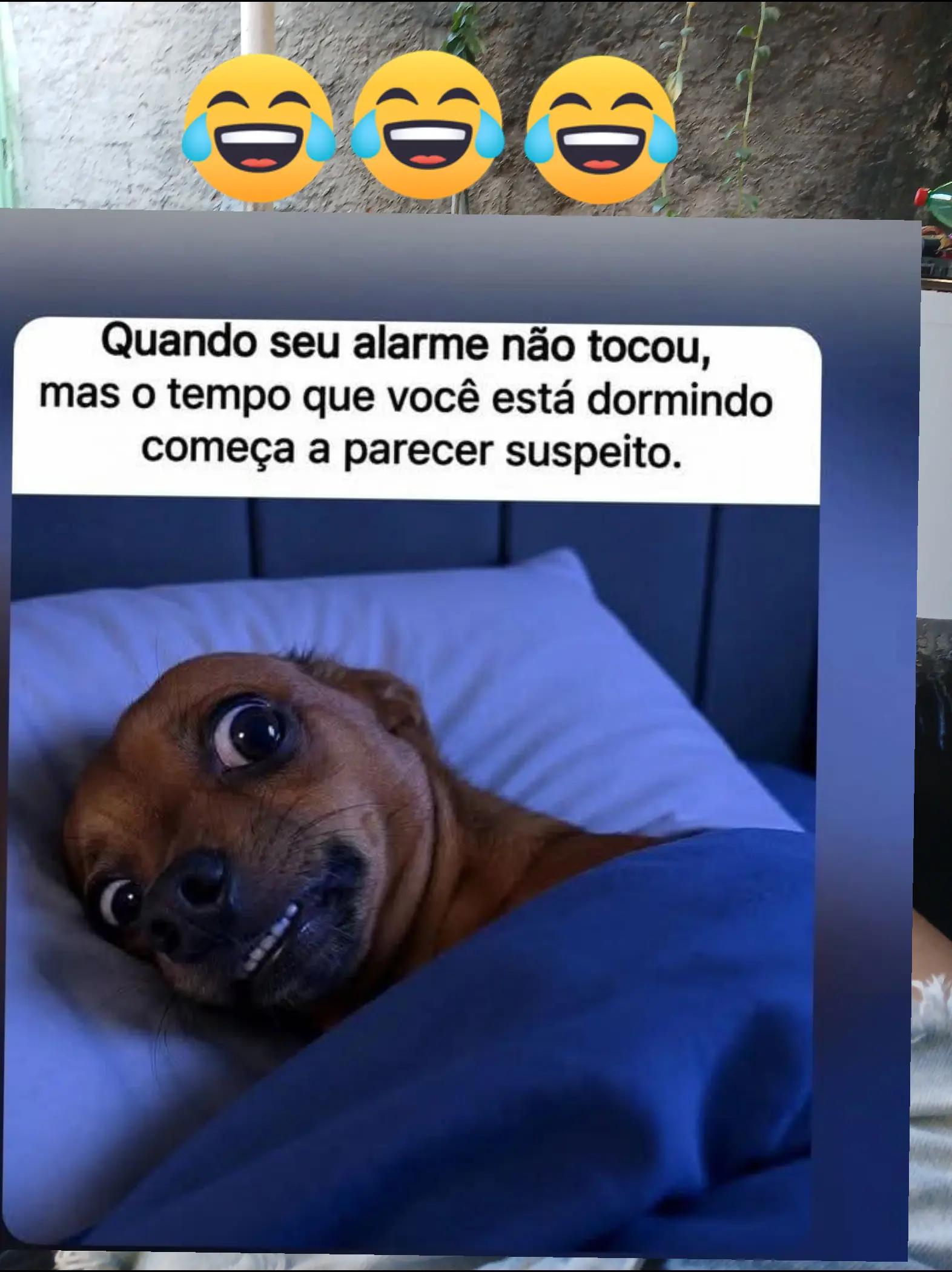 @humor da Célia 🤣