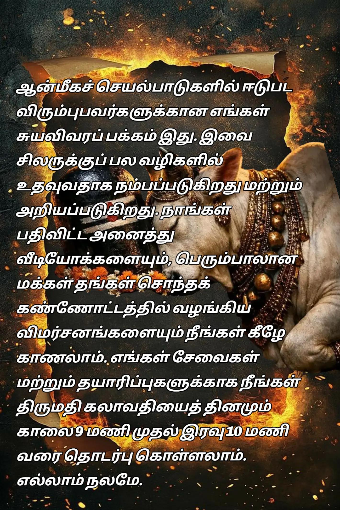 @2424monster2424
