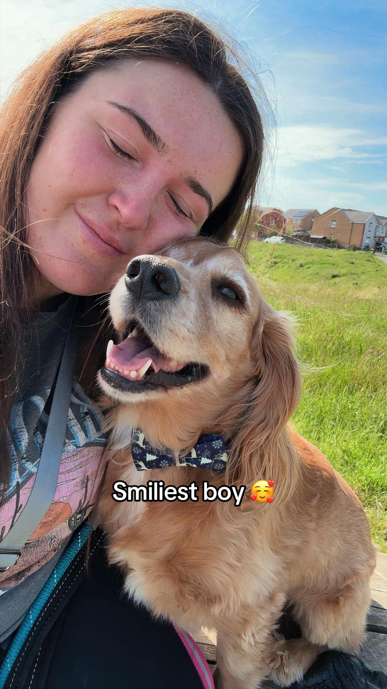 @Robyn’s Dog Walking Services