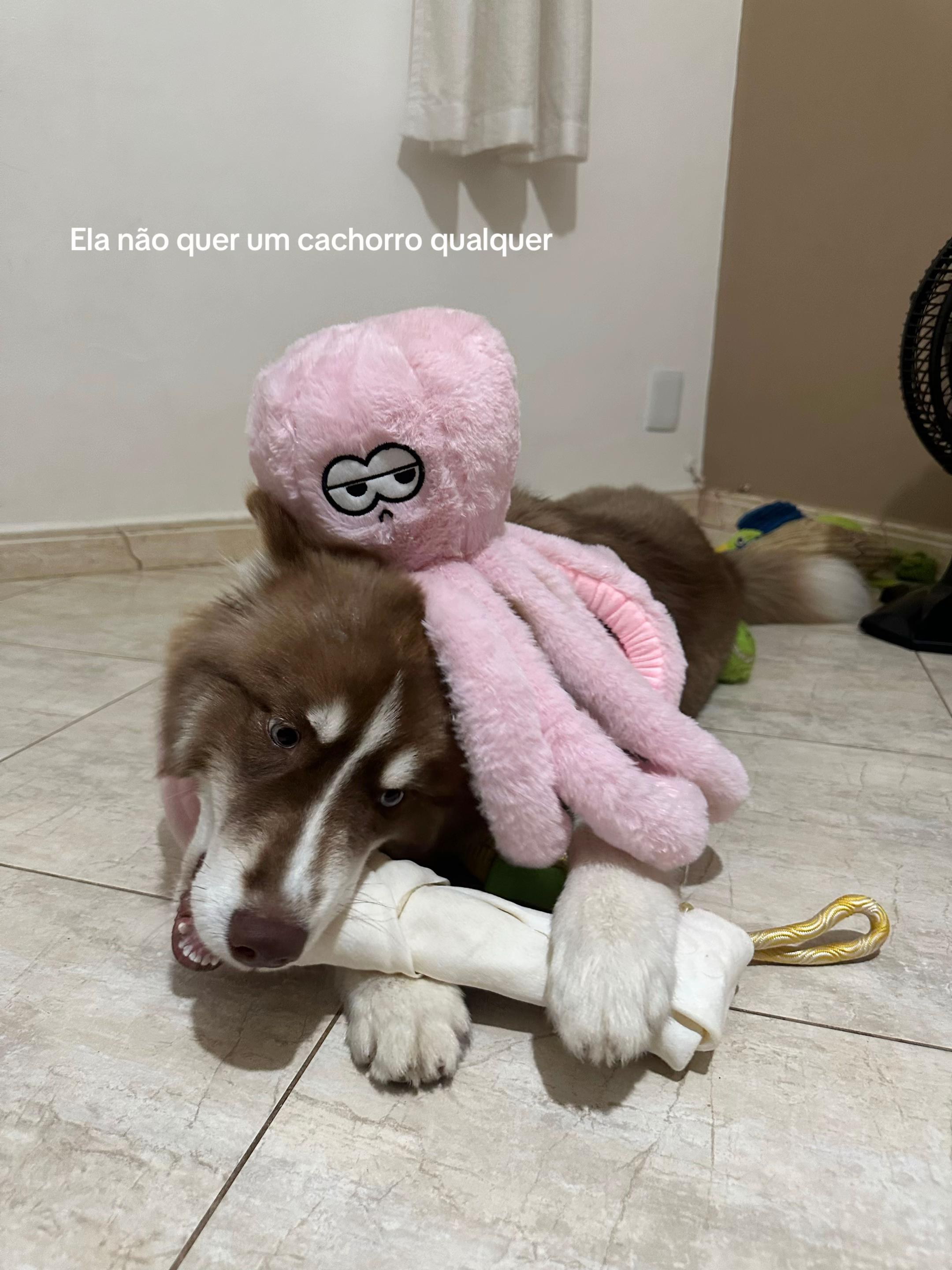 @Gabi