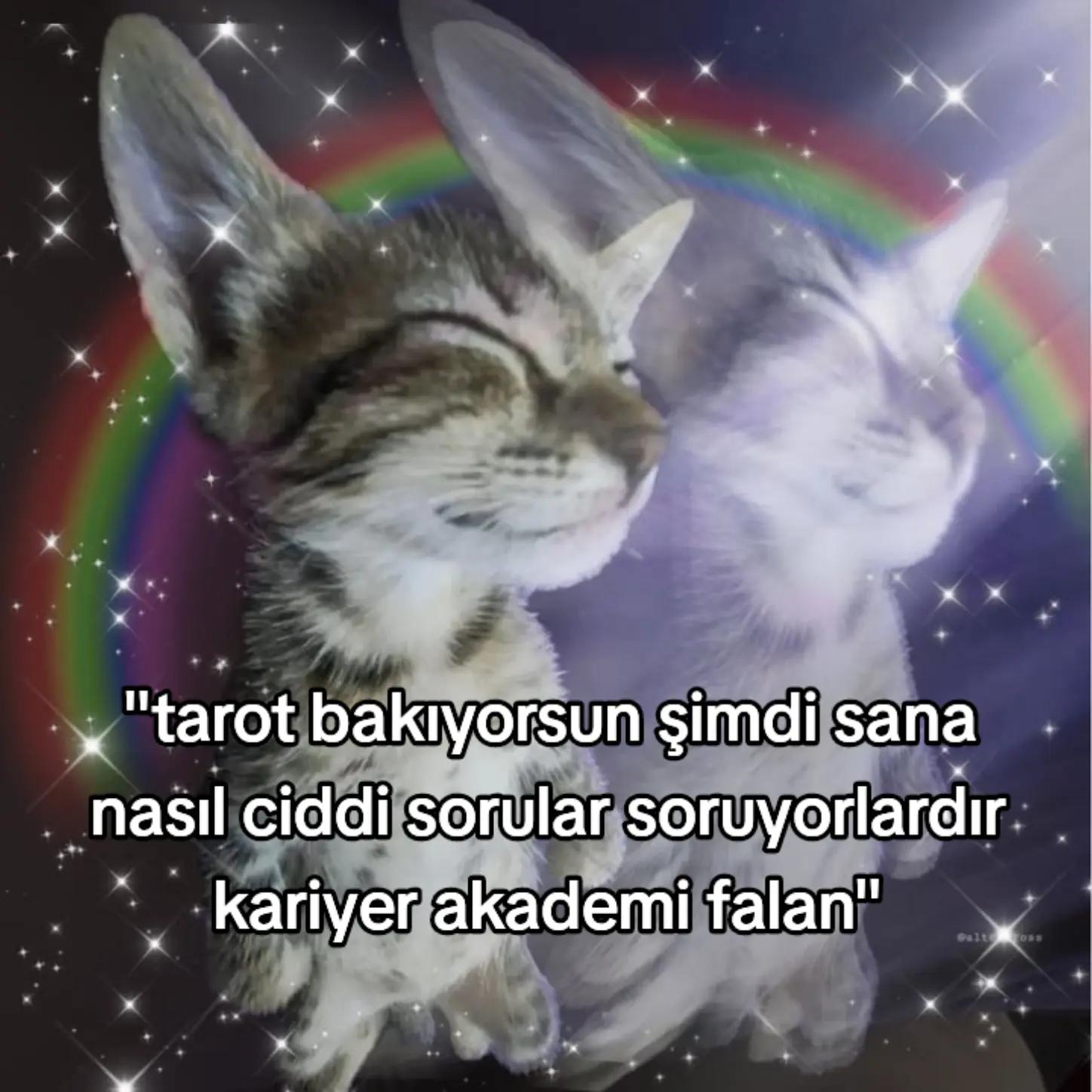 @𝙺𝚘𝚕𝚢𝚊⁶ #BRINGBACKVALKO
