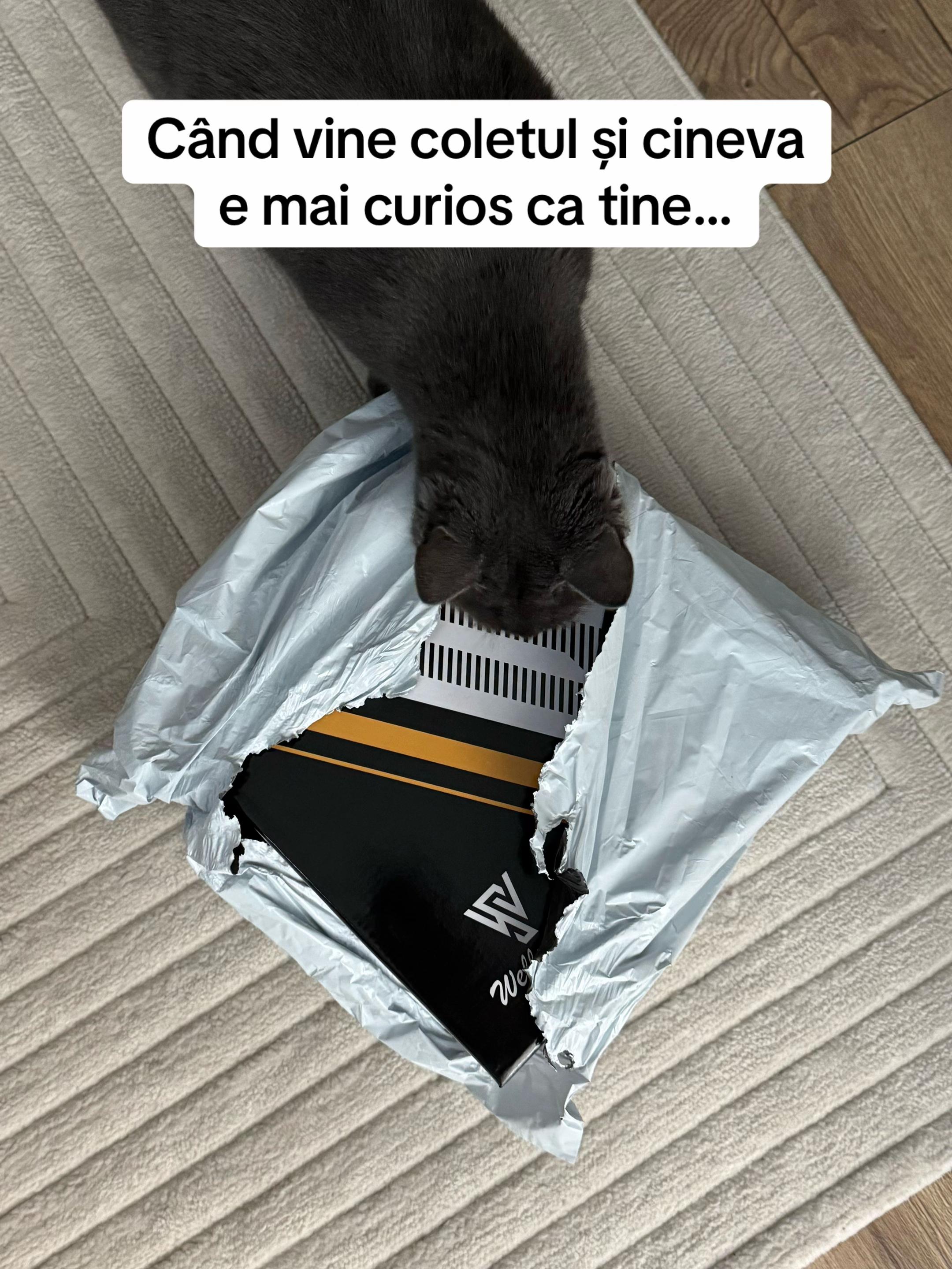 @Chihaia Anamaria