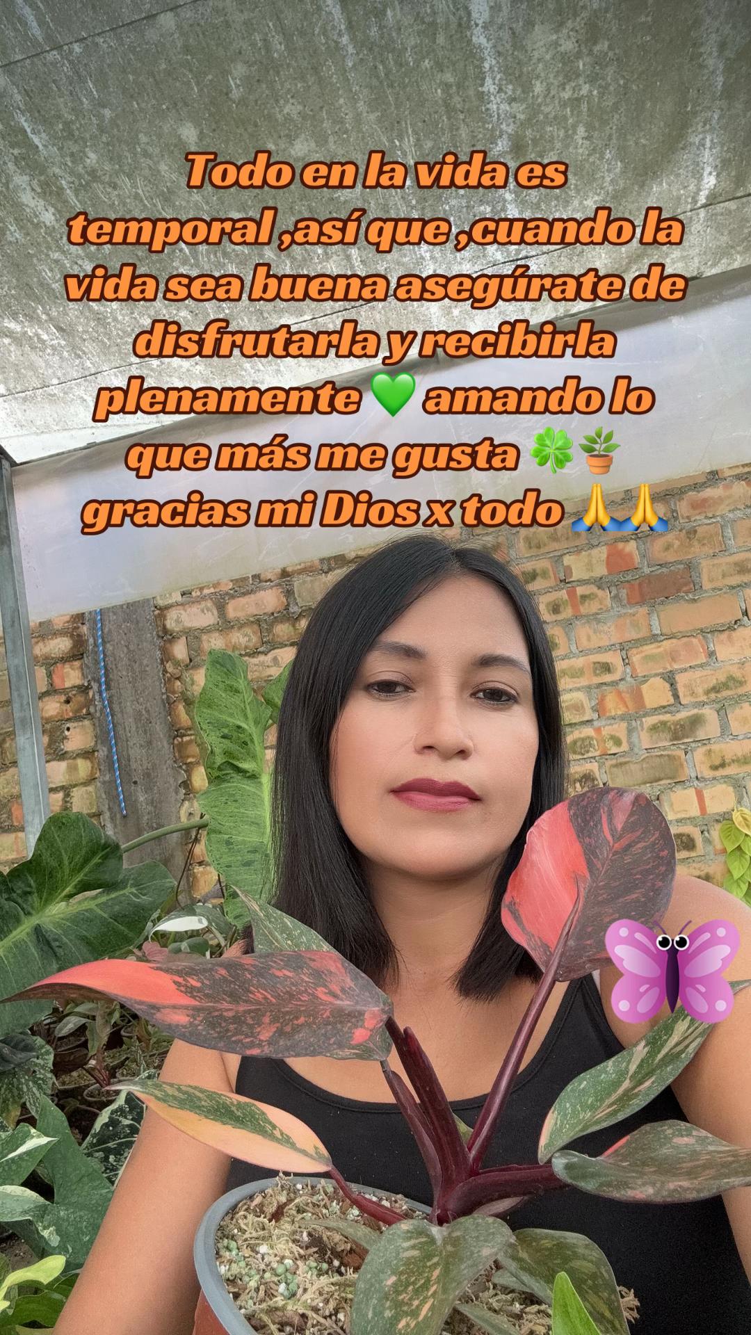 @Gianna.Plants 💚🍀🪴🇵🇪