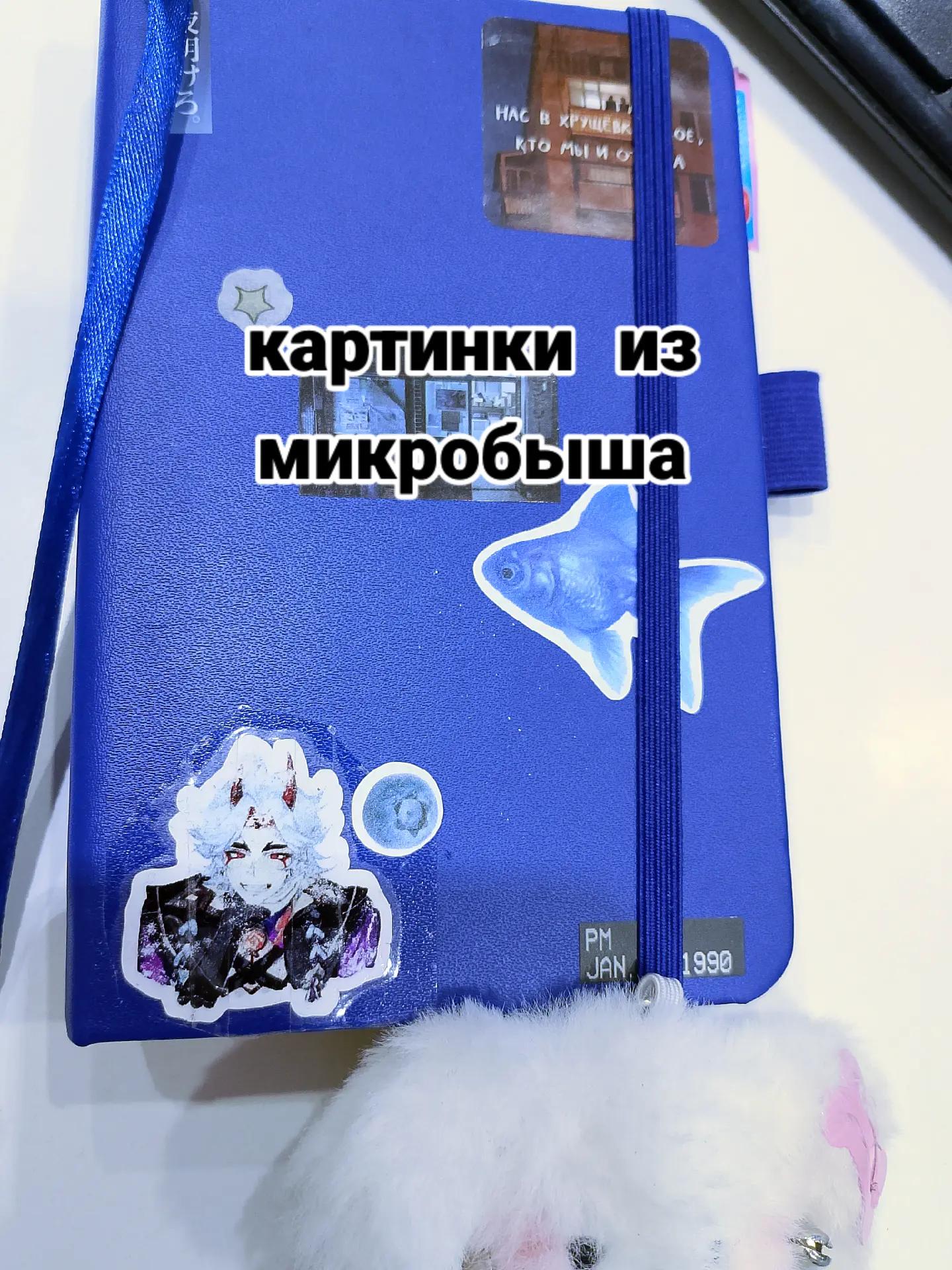 @Синечаева