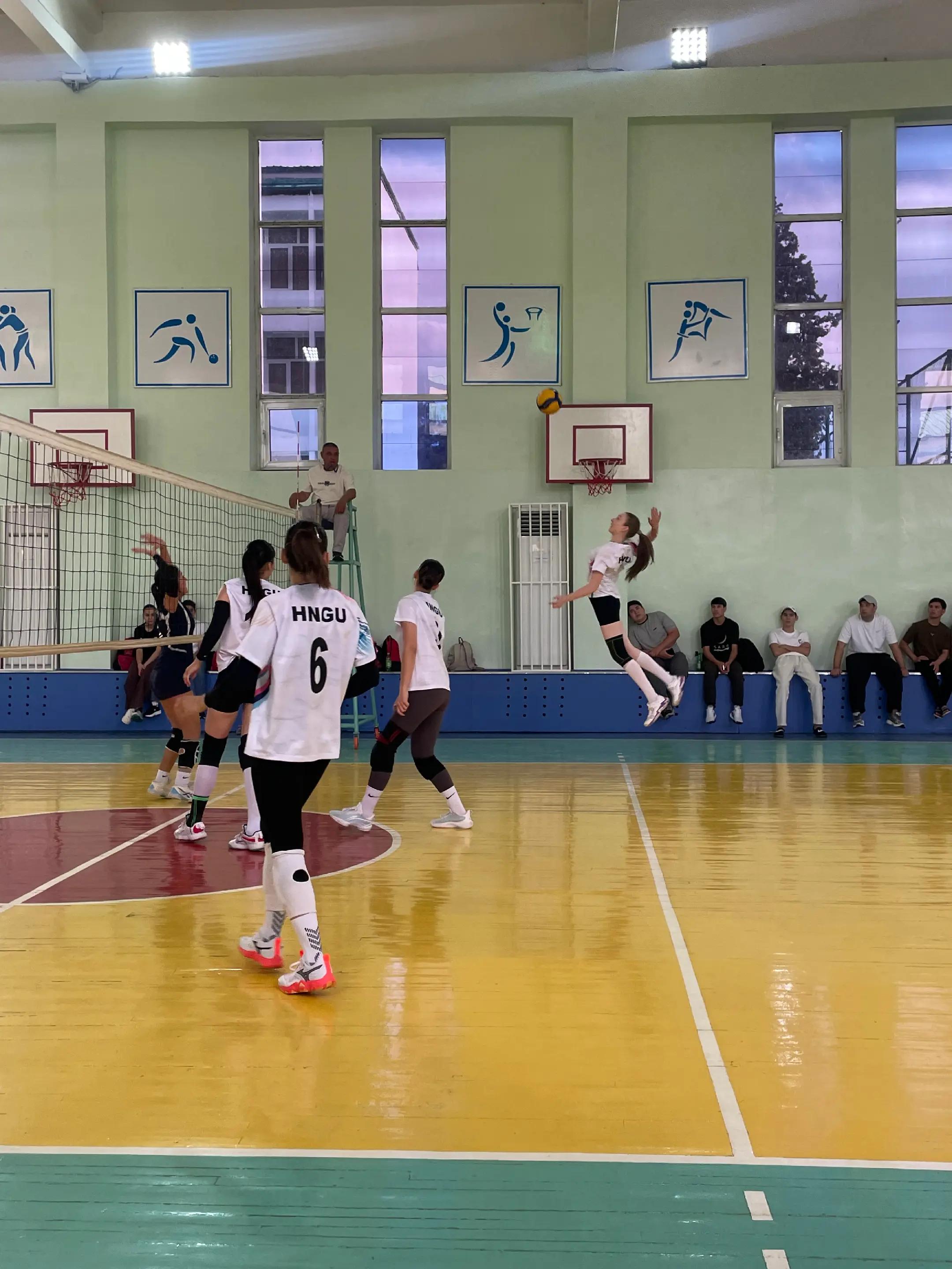@volleyball1