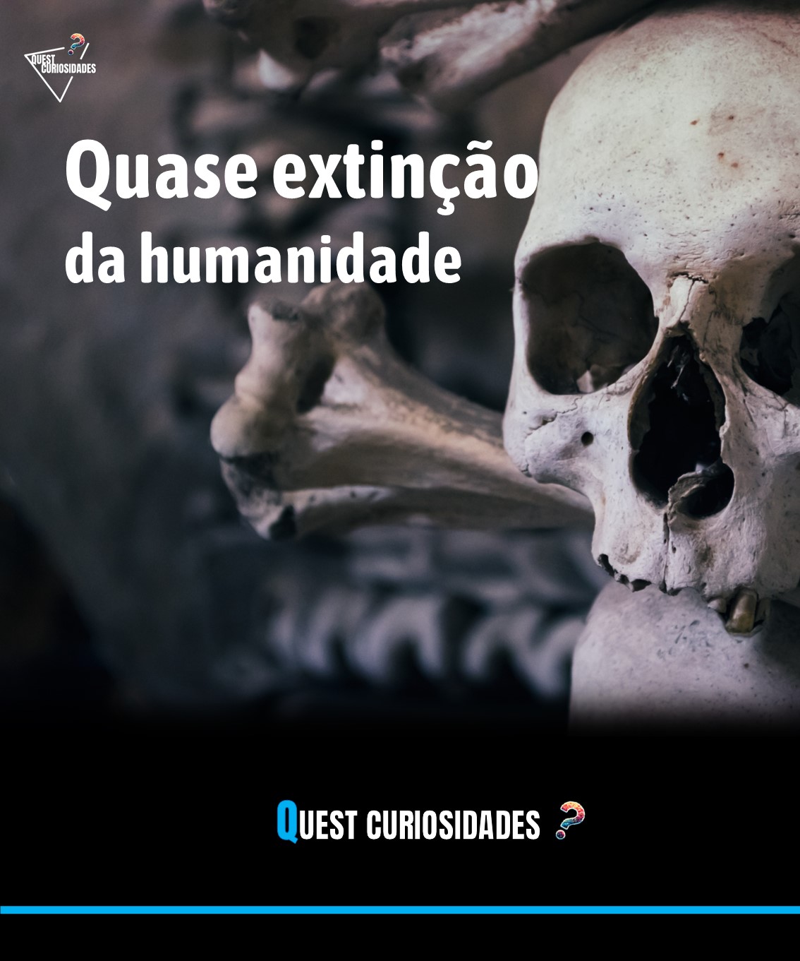 @Quest Curiosidades