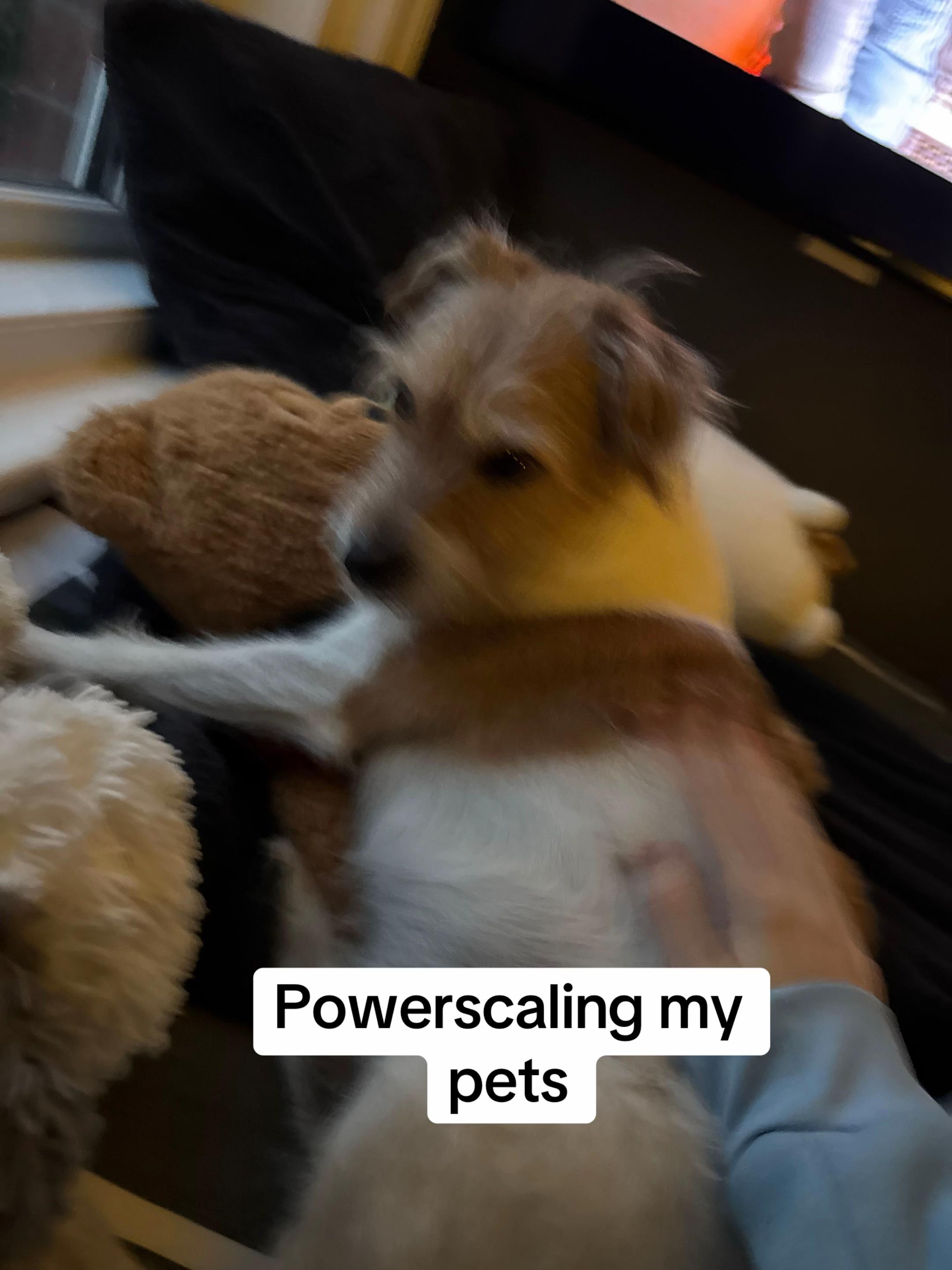 @PassionatePastryEnjoyer