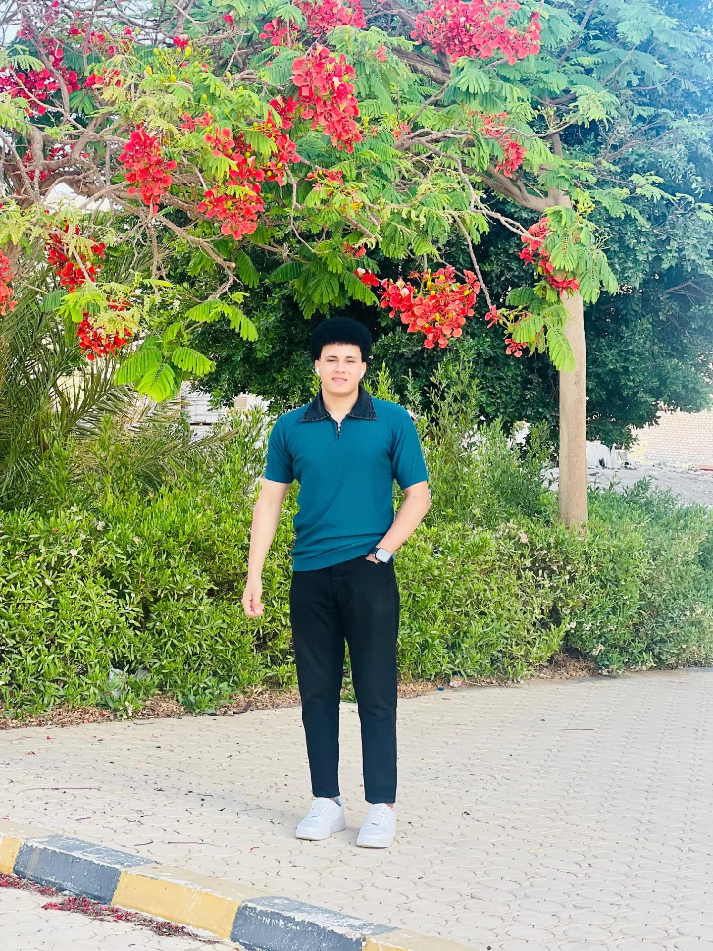 @Dr.Saleh Hany