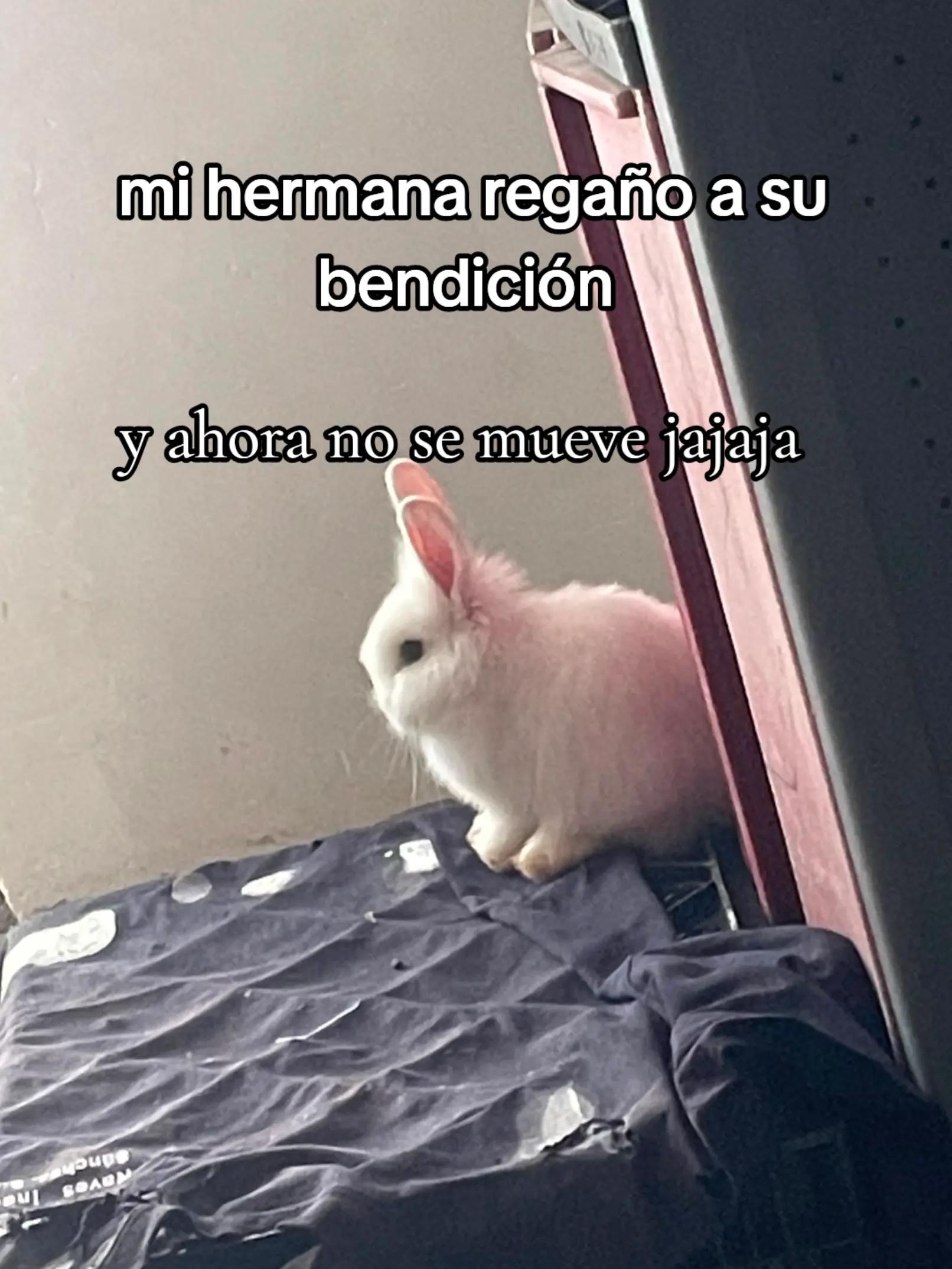 @Anny Franco