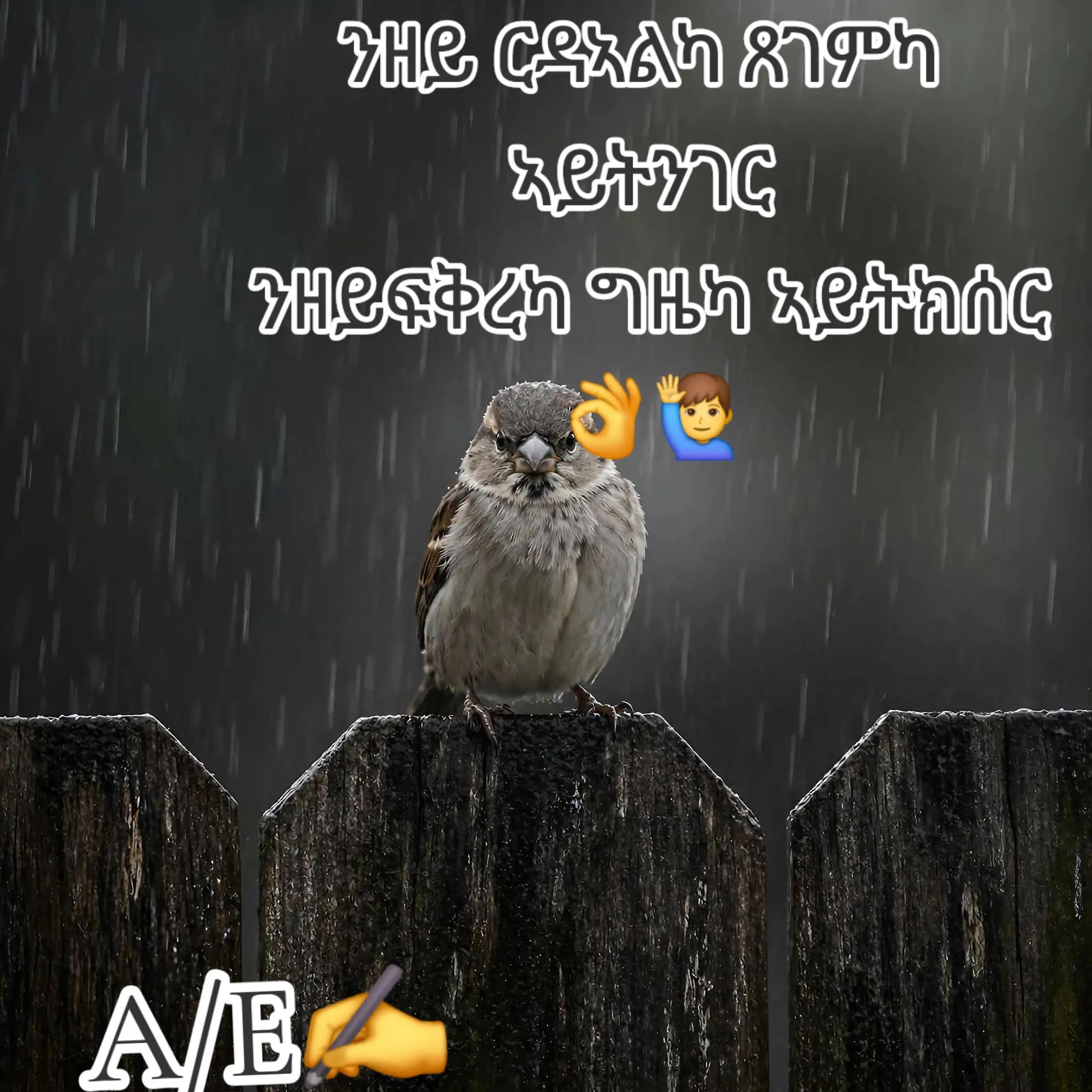 @ኣቢ ሊባናይ🇪🇷🌹🇳🇱♥️💯💒✝️✅