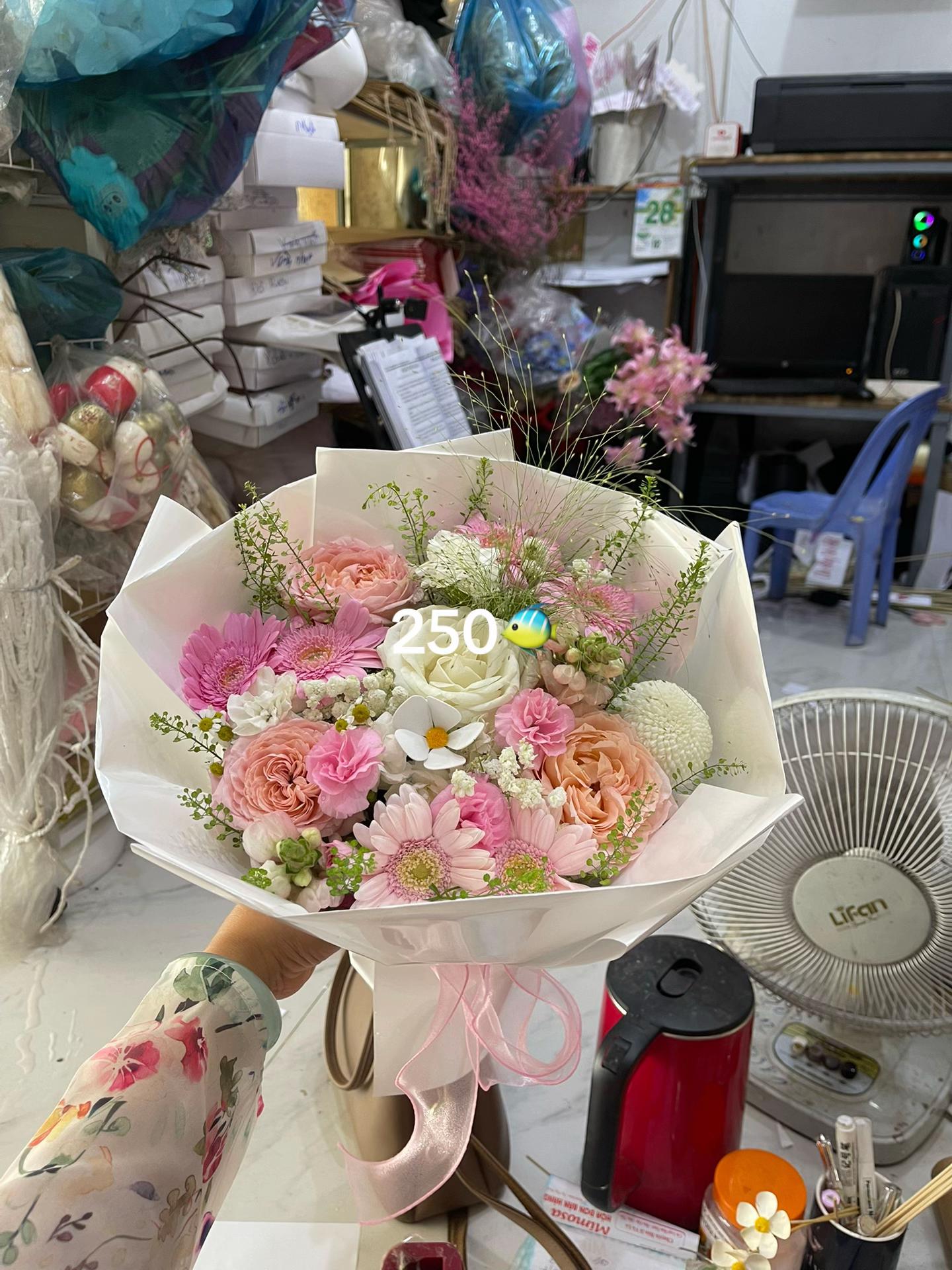 @Shop hoa MIMOSA TÂY NINH CŨ