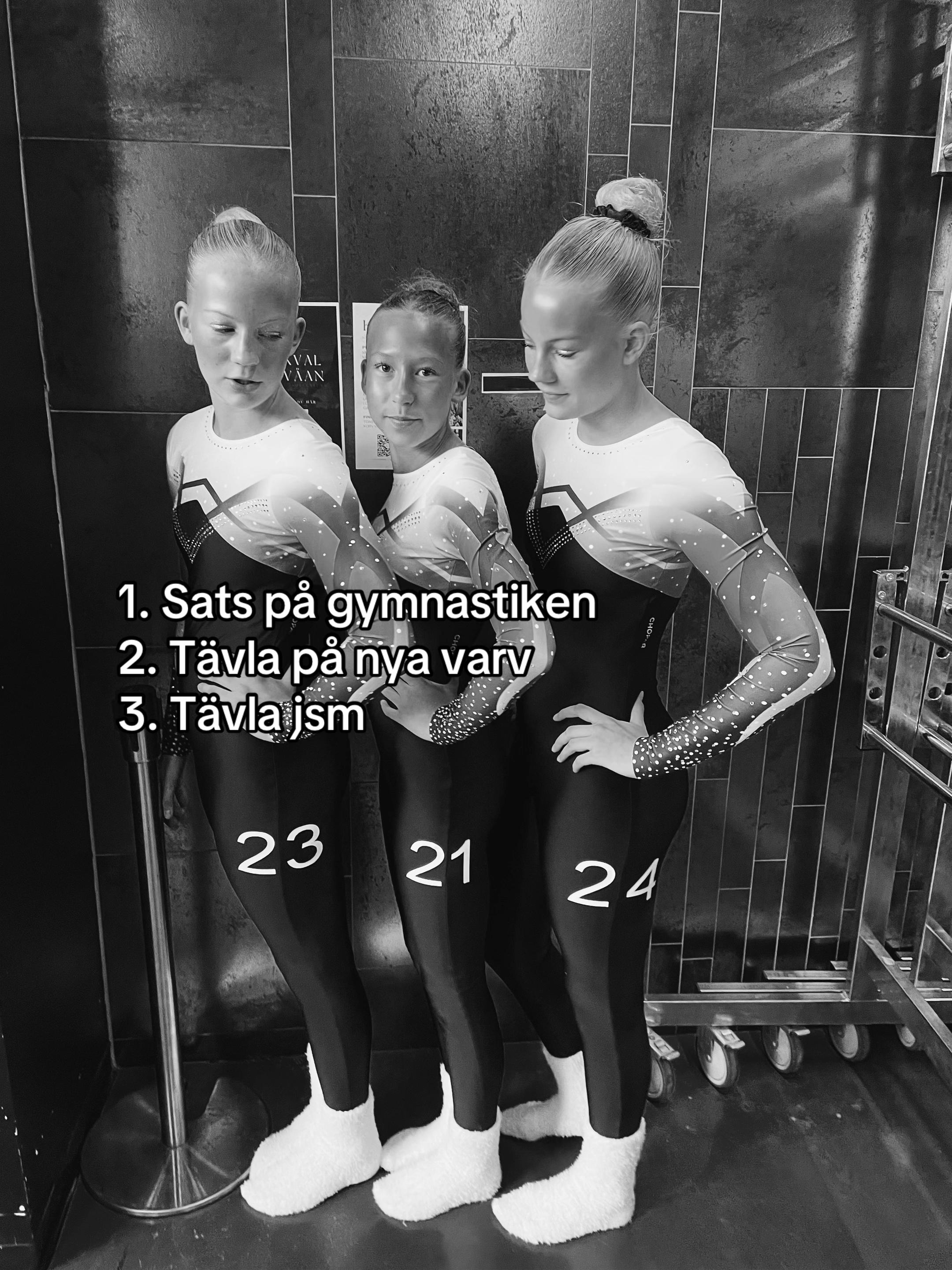 @Emilia Tross&ouml;