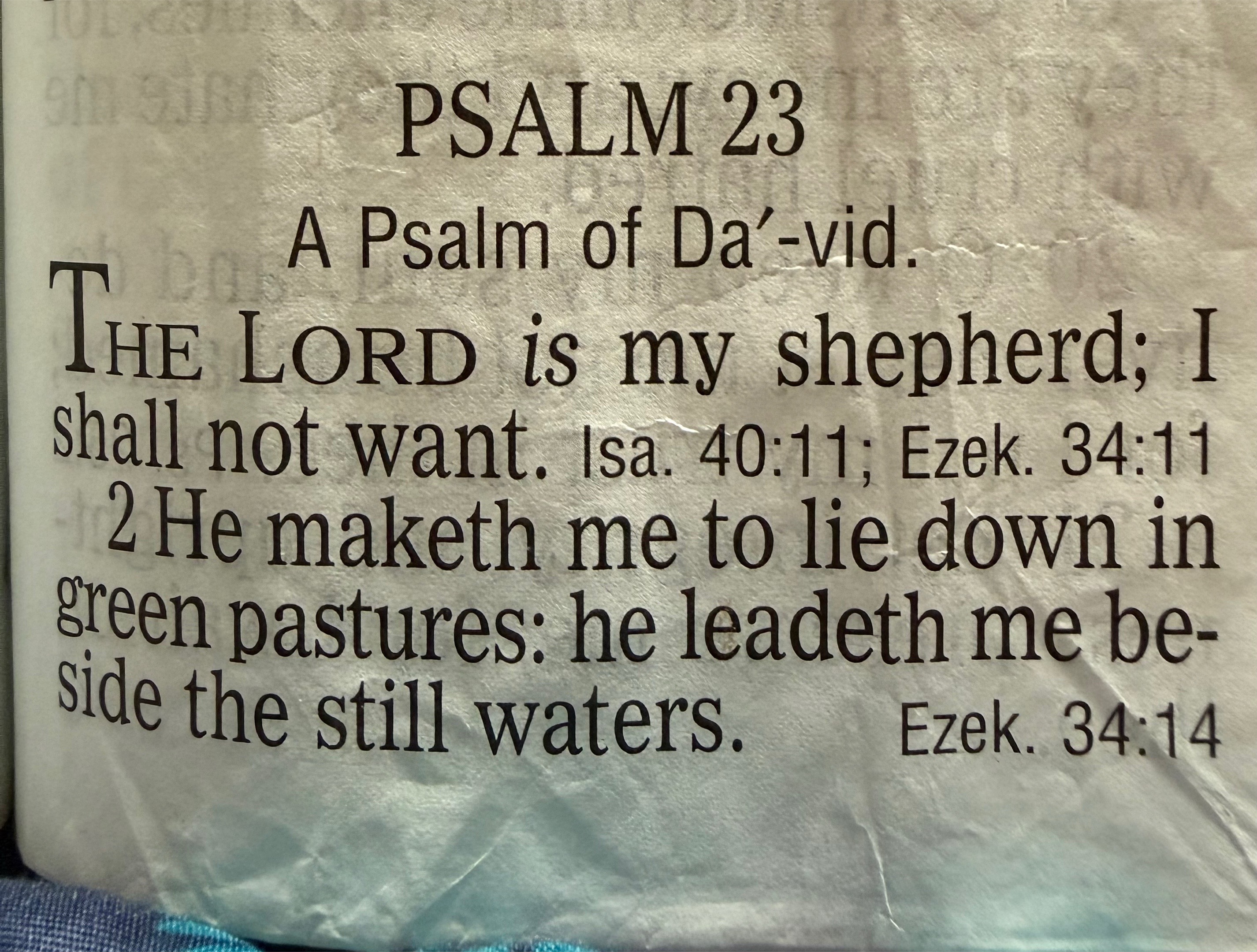 @Butterflywings🇯🇲🦋🌞