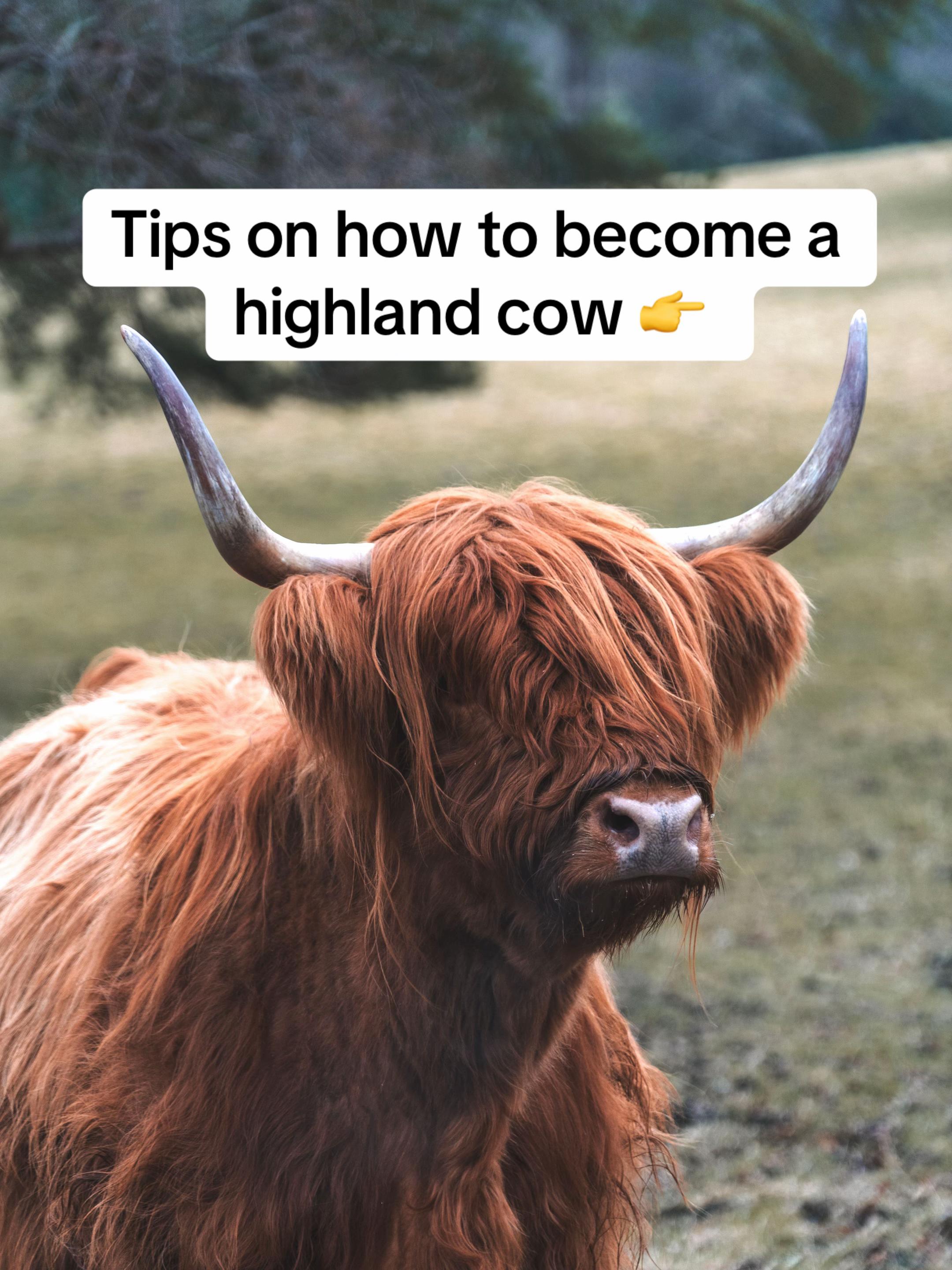 @John Murray - Scotland