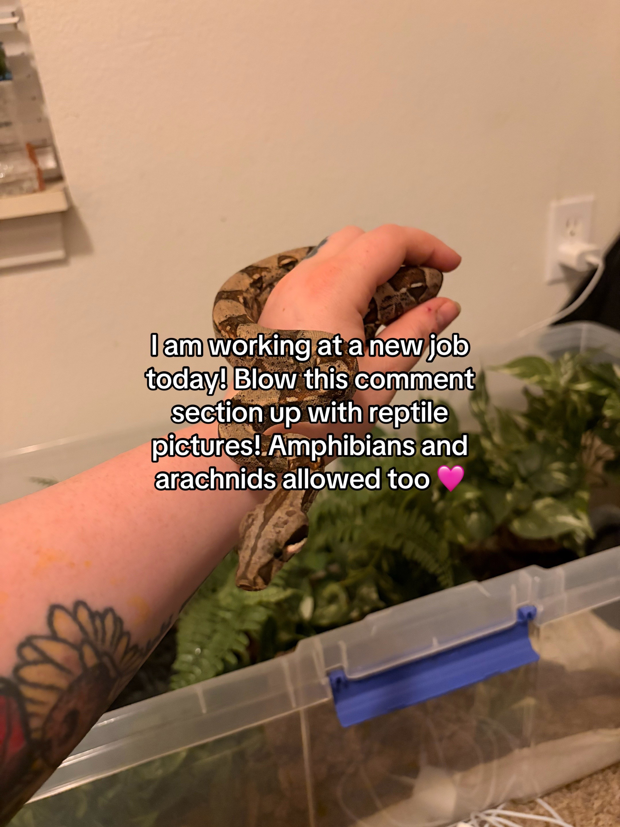 @kaciandherballs