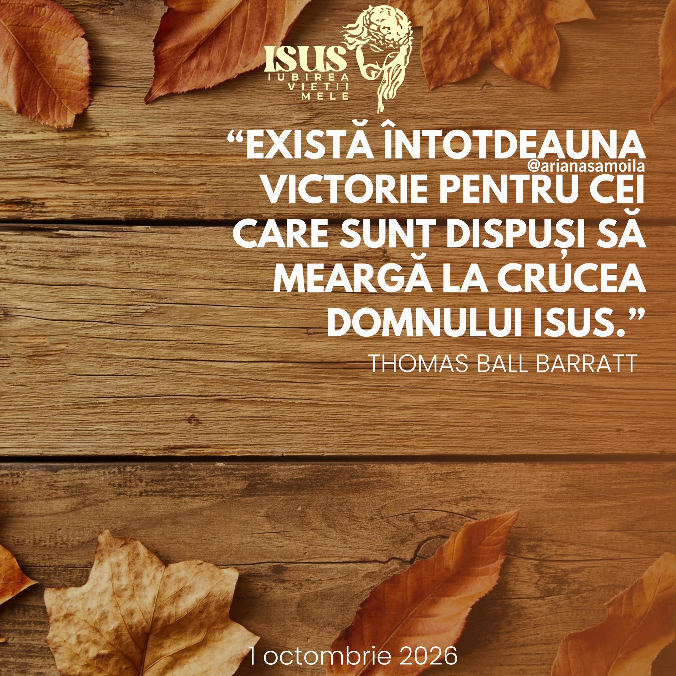 @Ariana Samoilă