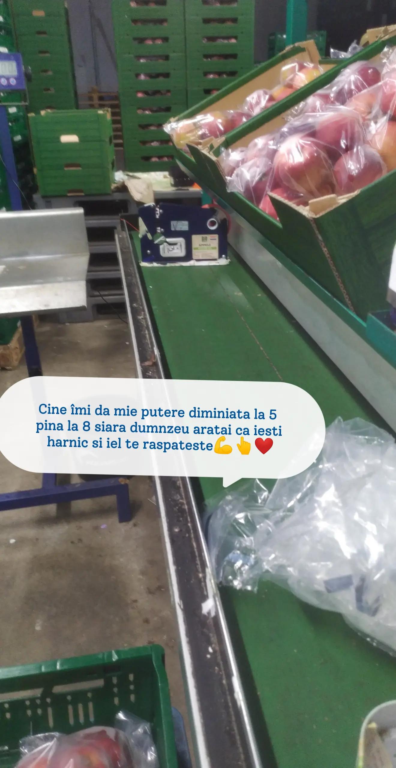 @Marinel Litra