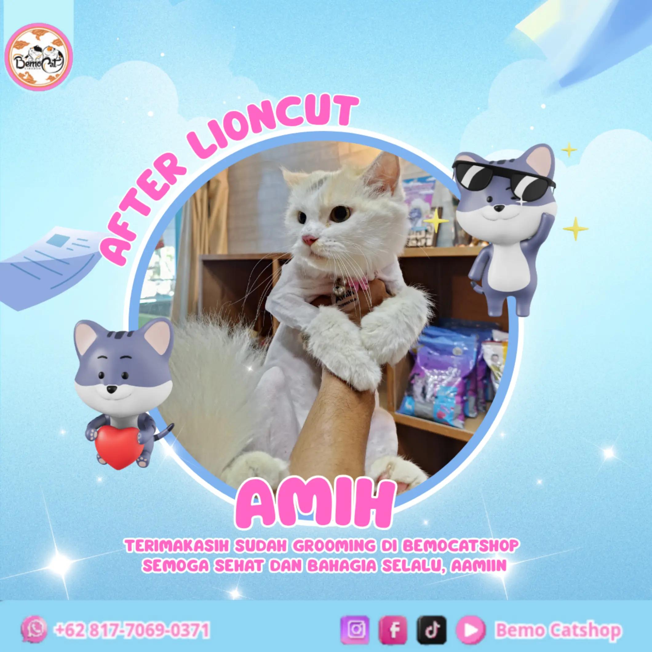 @Bemo Catshop