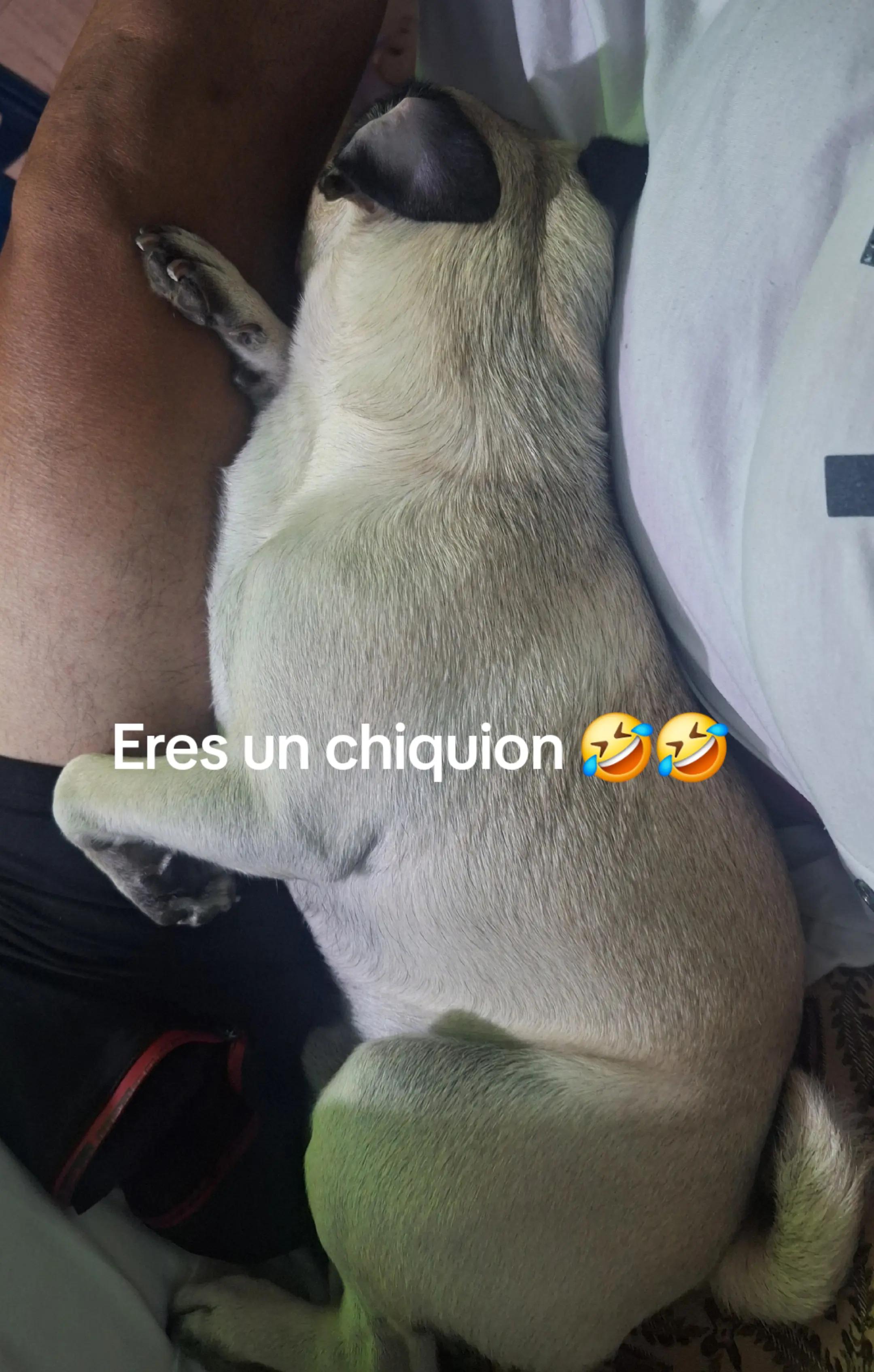 @elviira P.A