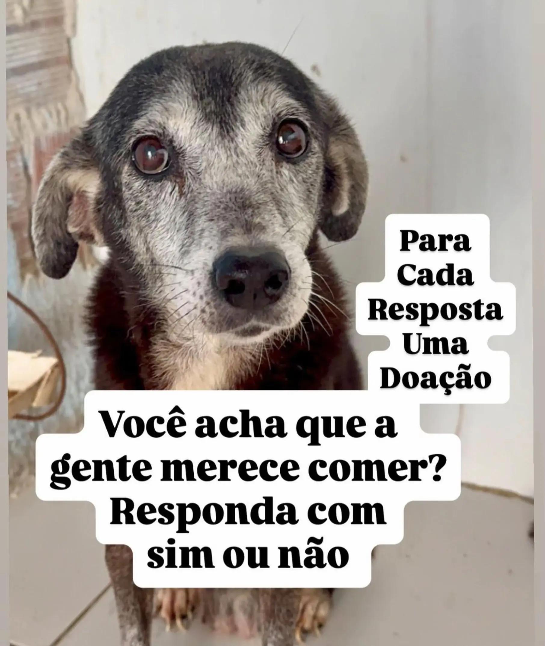 @Proteção Patas