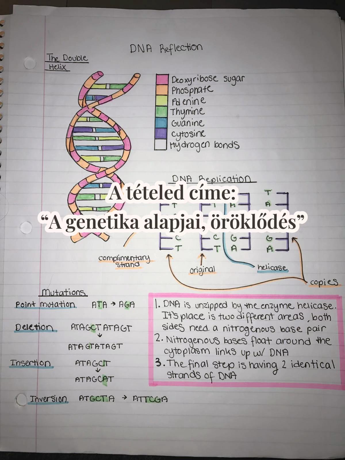 @MissMitokondria👩🏼🏫