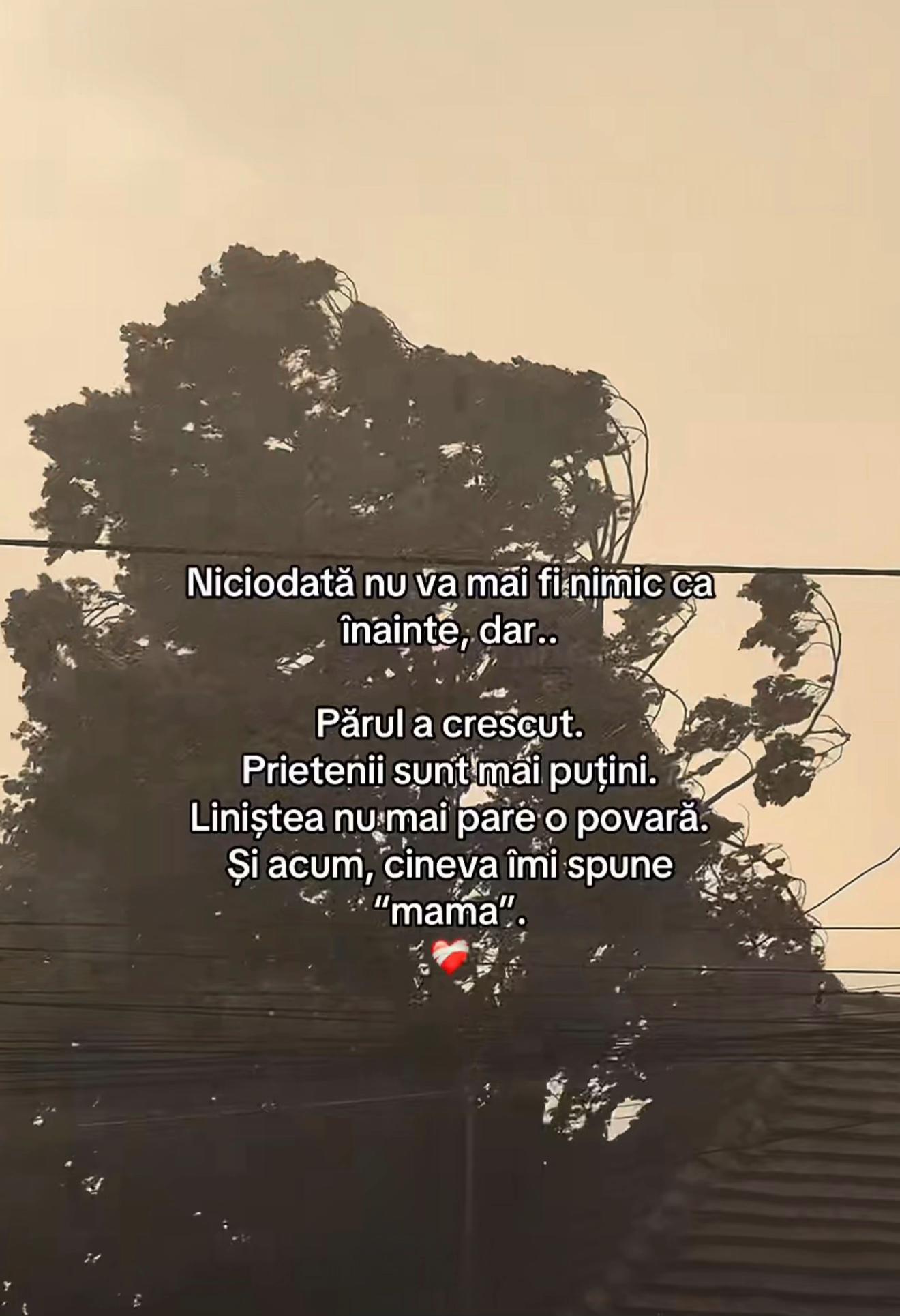 @Mihaela Lungu