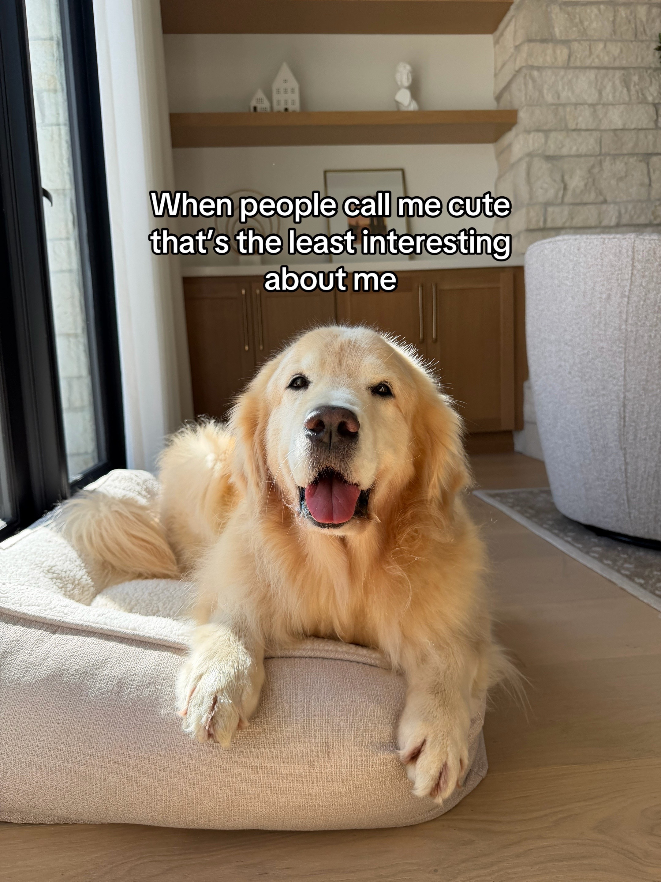 @Maui, Ruby +Hugo