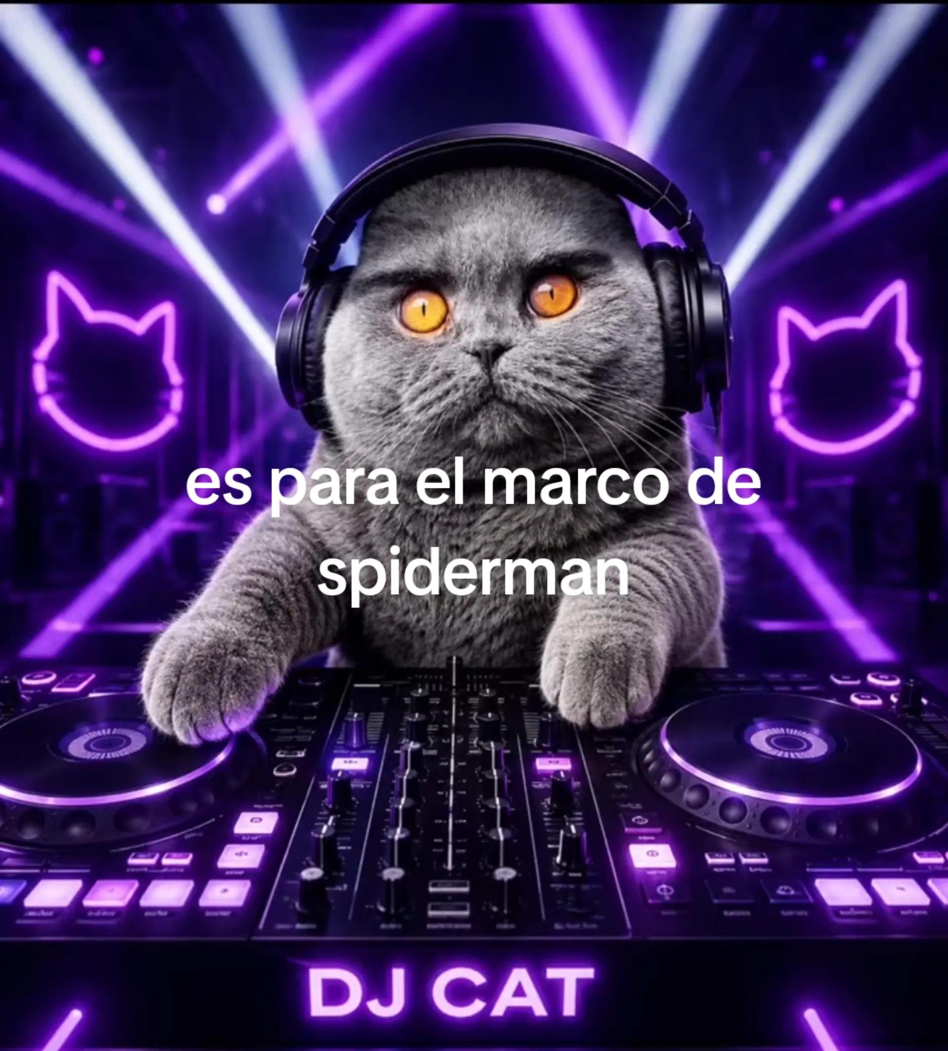 @NachoFLM • Folk • Siguiendo