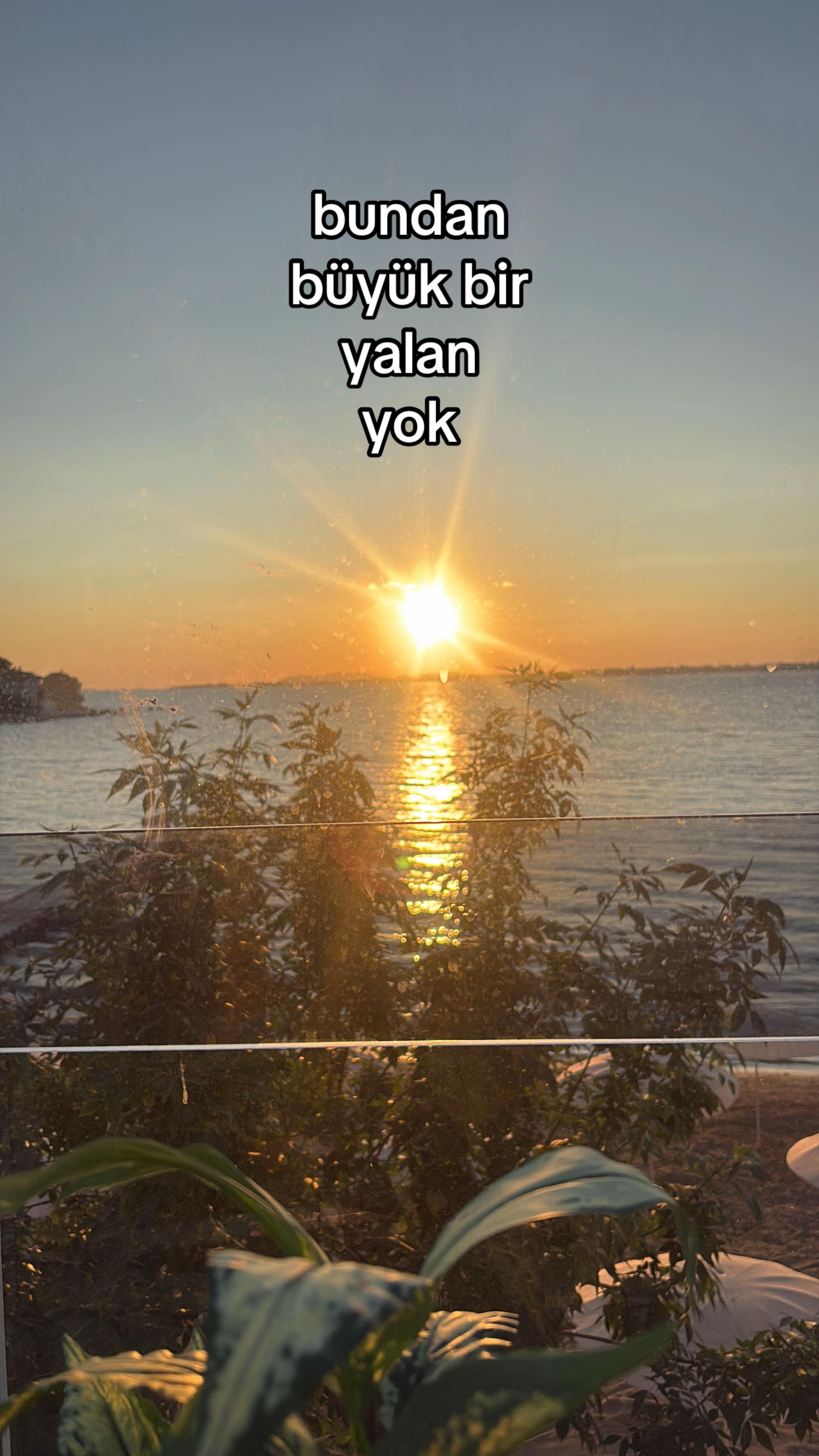 @Aysu
